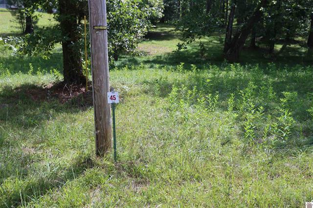 Lot 45 Doe Valley Drive