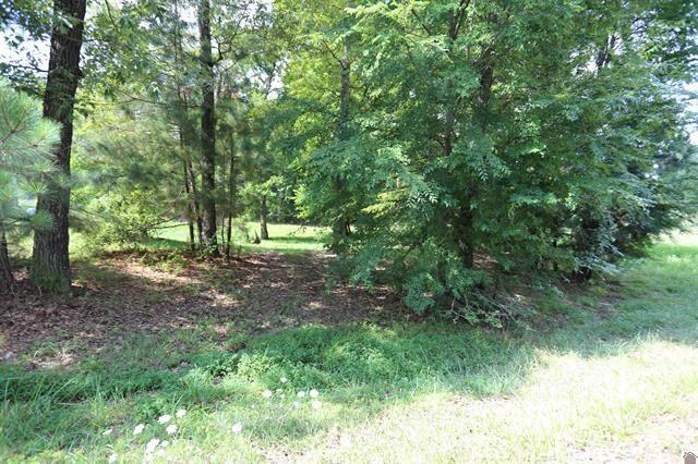Lot 41 Pine View Drive