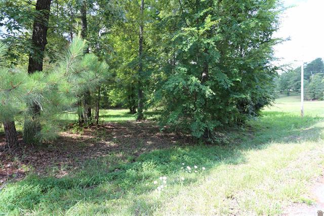 Lot 41 Pine View Drive