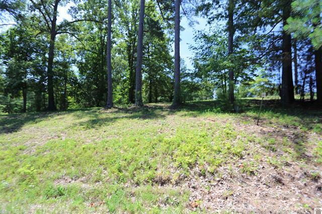 Lot 54 Pine View Drive