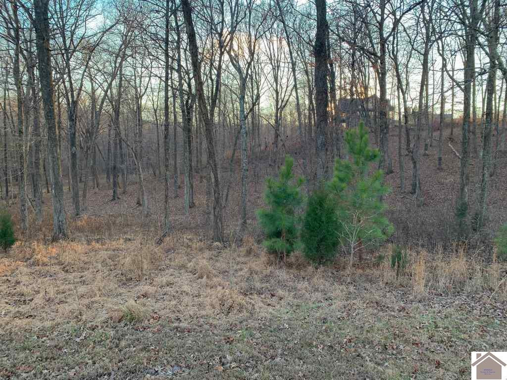 Lot 13 Yacht Lane 13