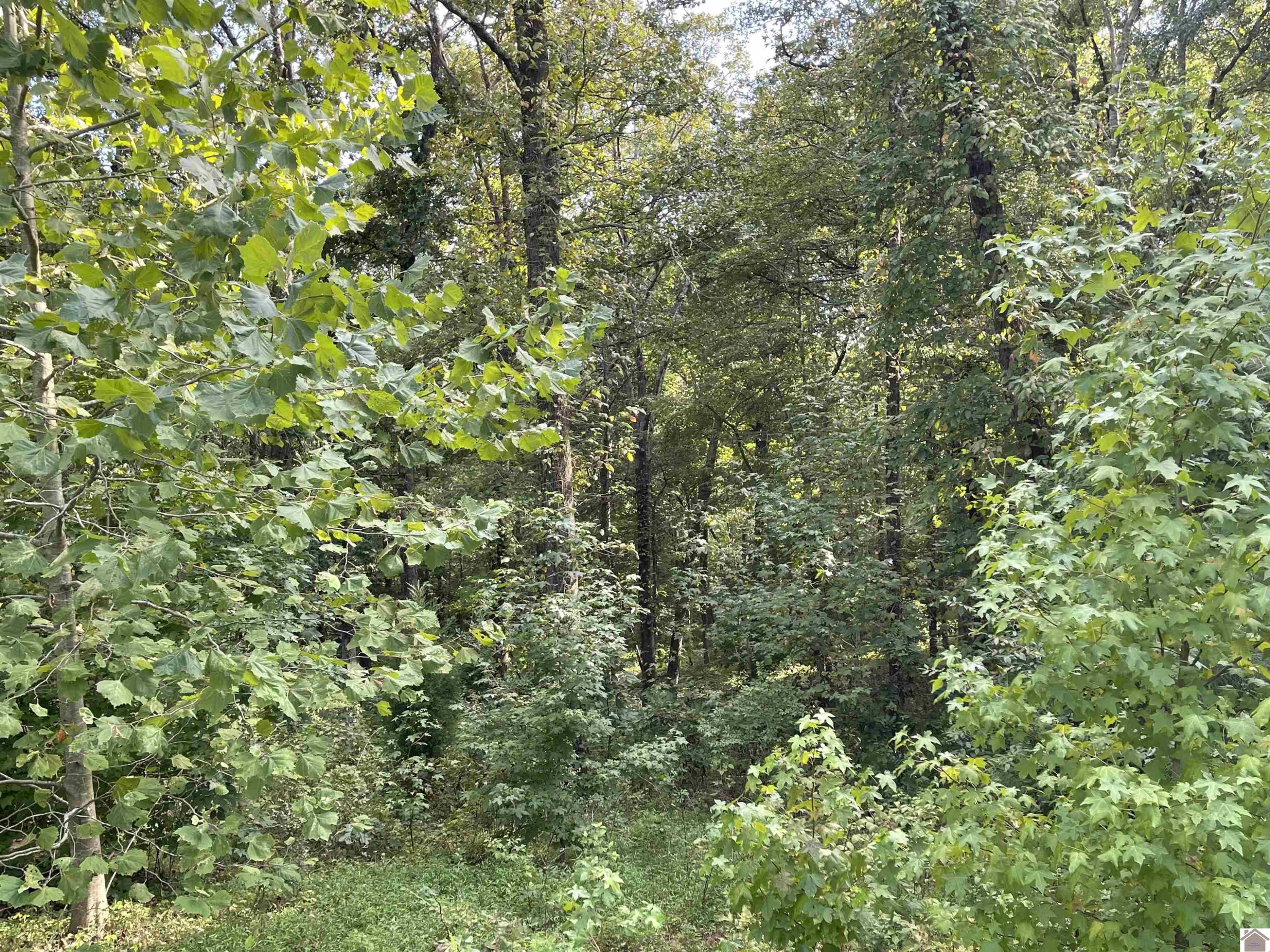 Lot 13 Yacht Lane 13