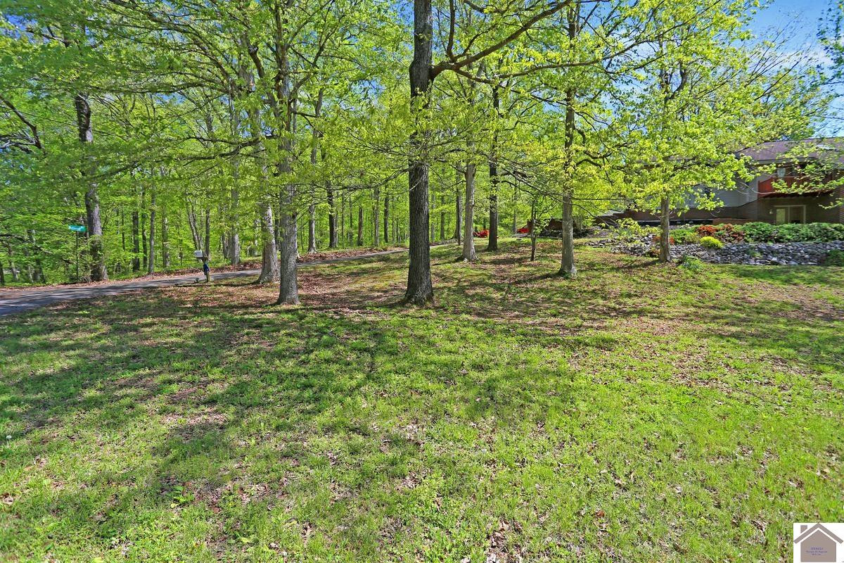 33 Buttercup Drive