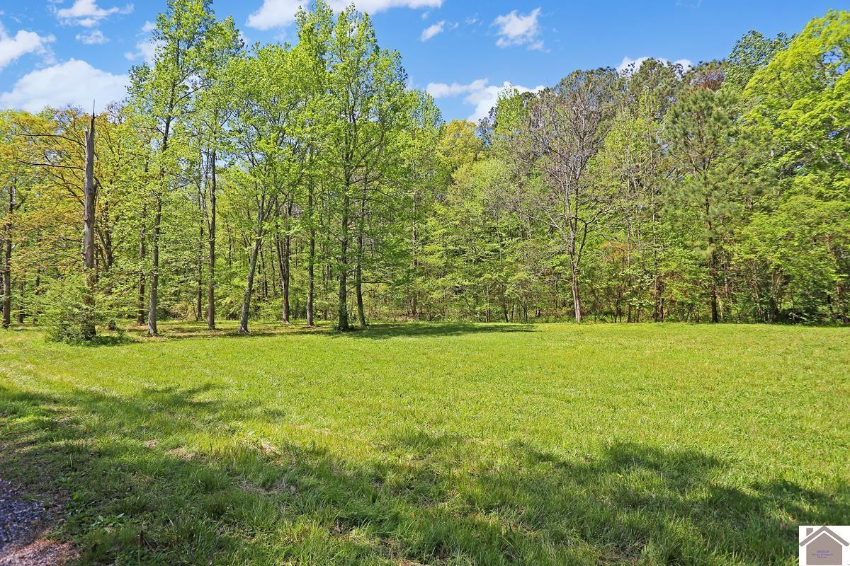 33 Buttercup Drive