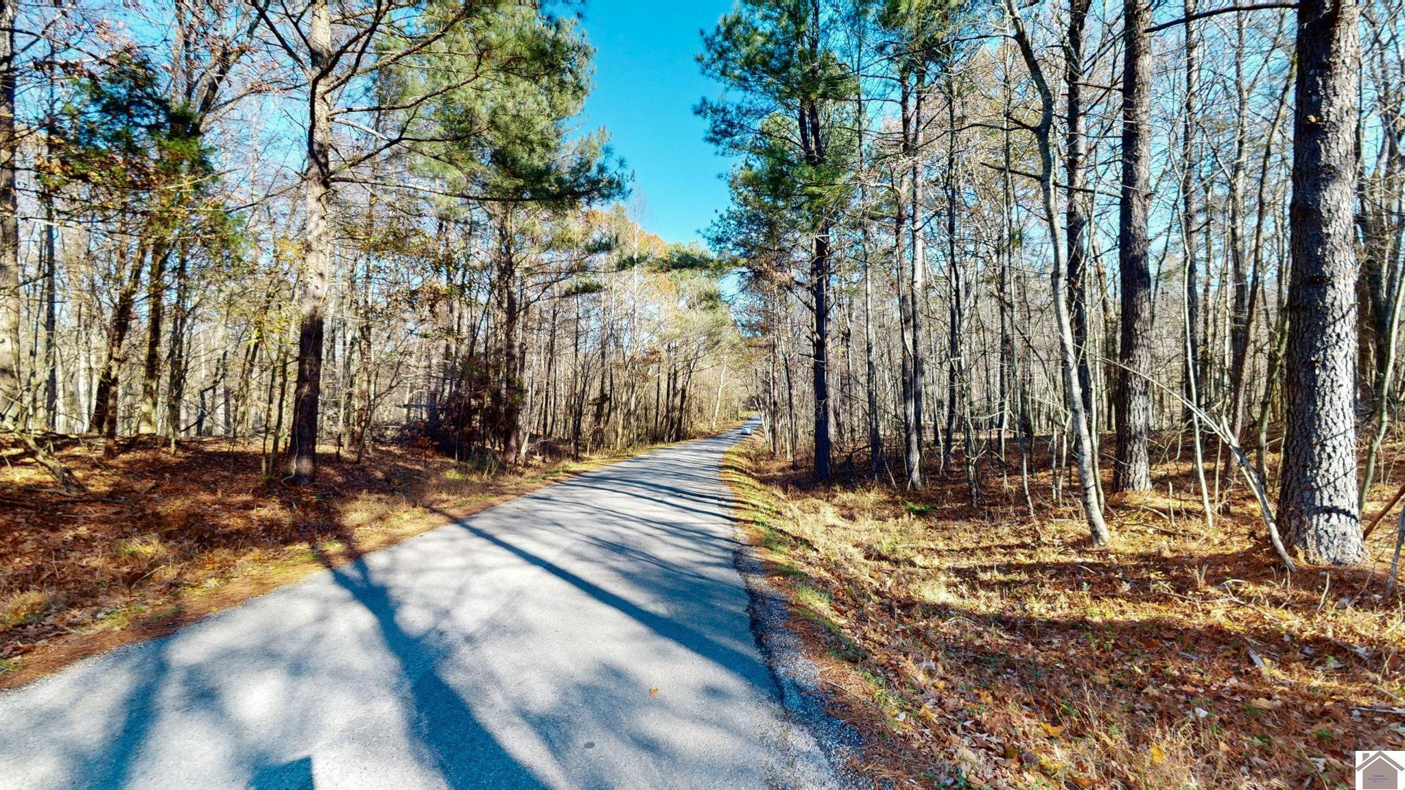 Protemus Road