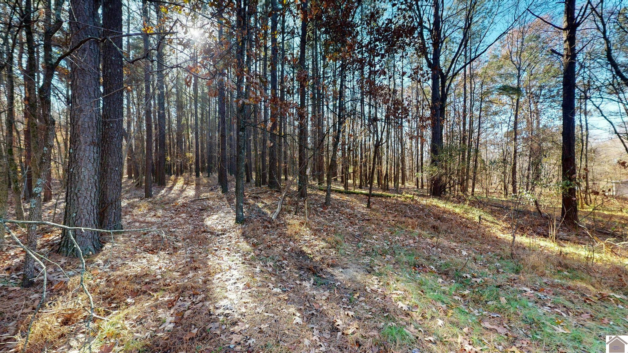 Protemus Road