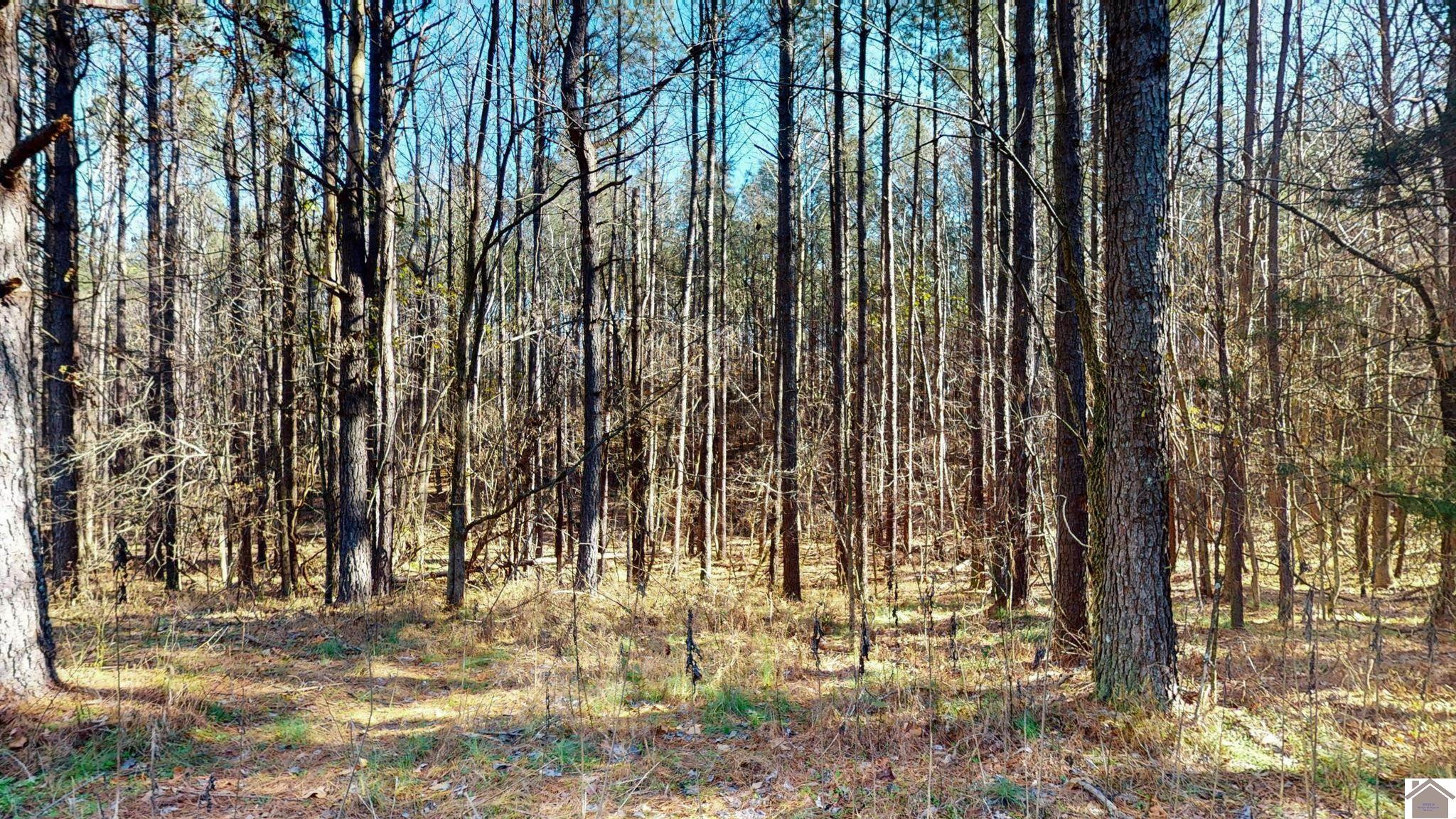 Protemus Road