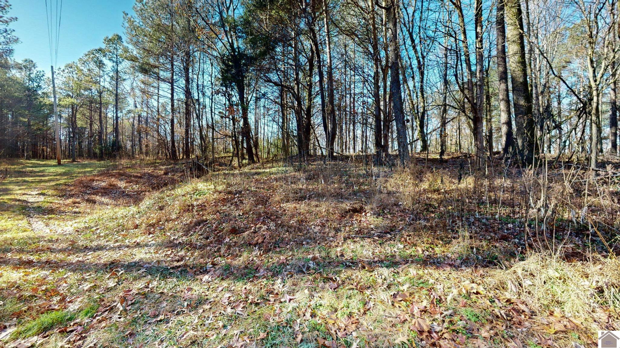 Protemus Road