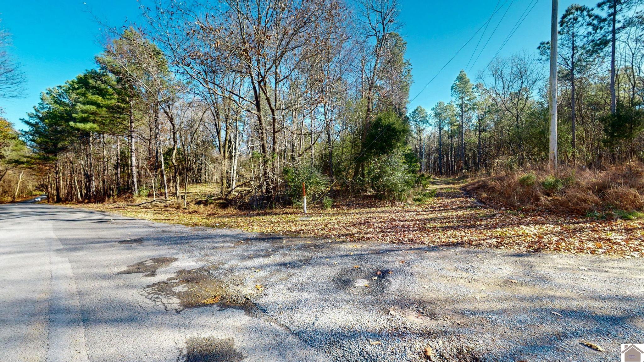 Protemus Road