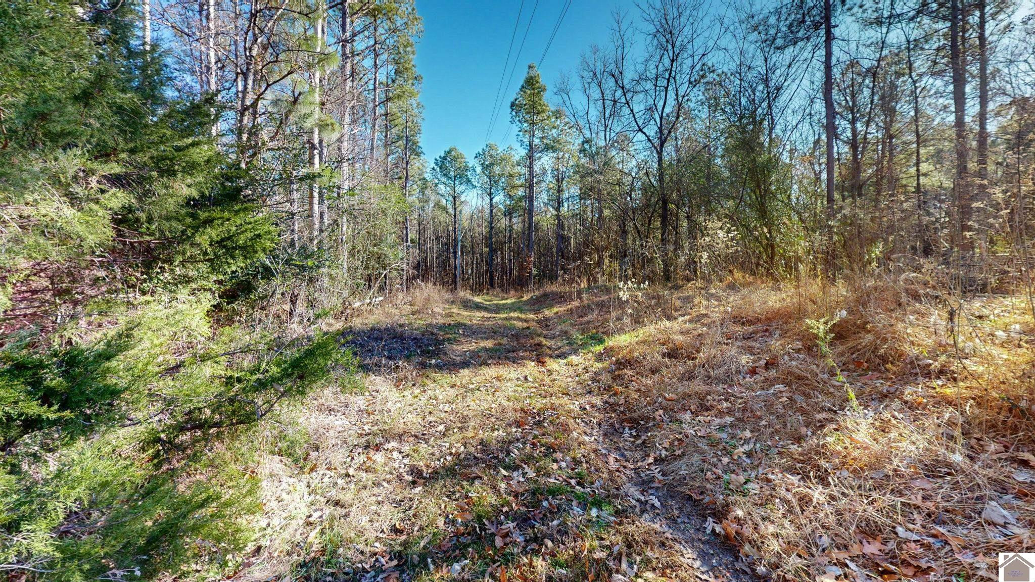 Protemus Road
