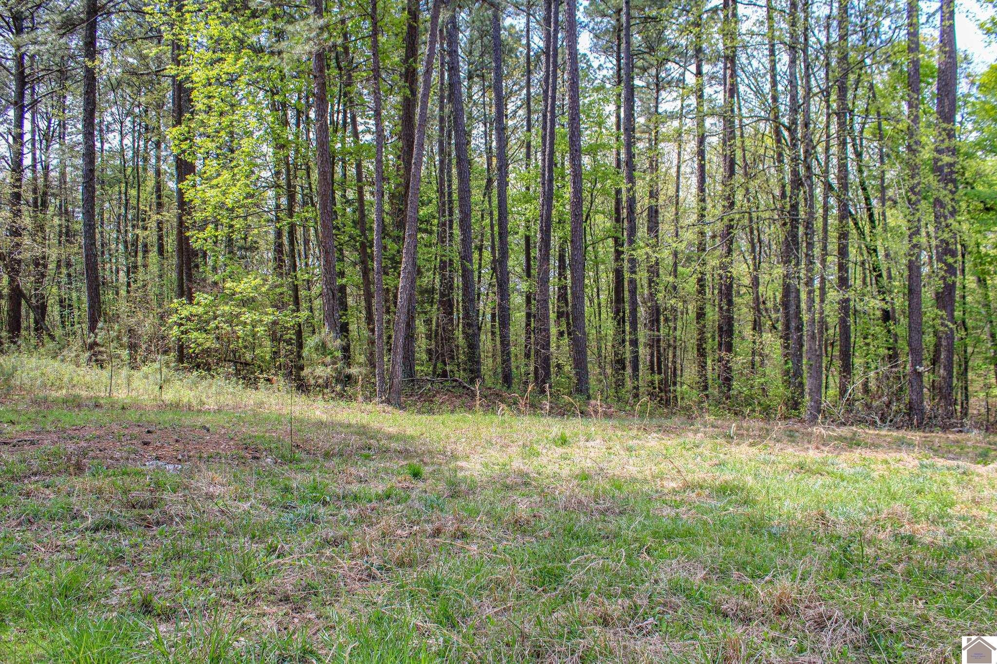 945 Ridge Road