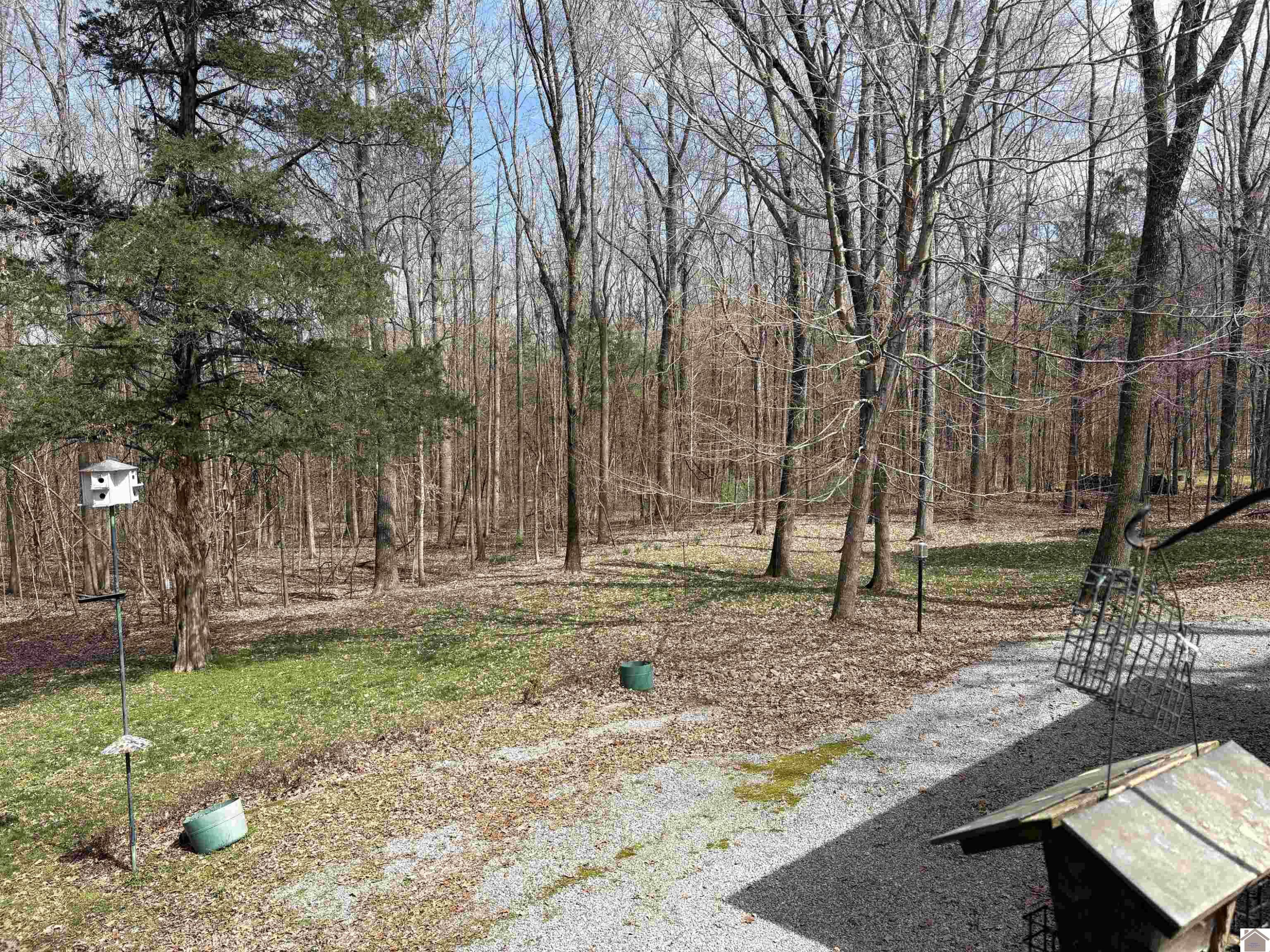 372 Rockcastle Lakeshore Dive