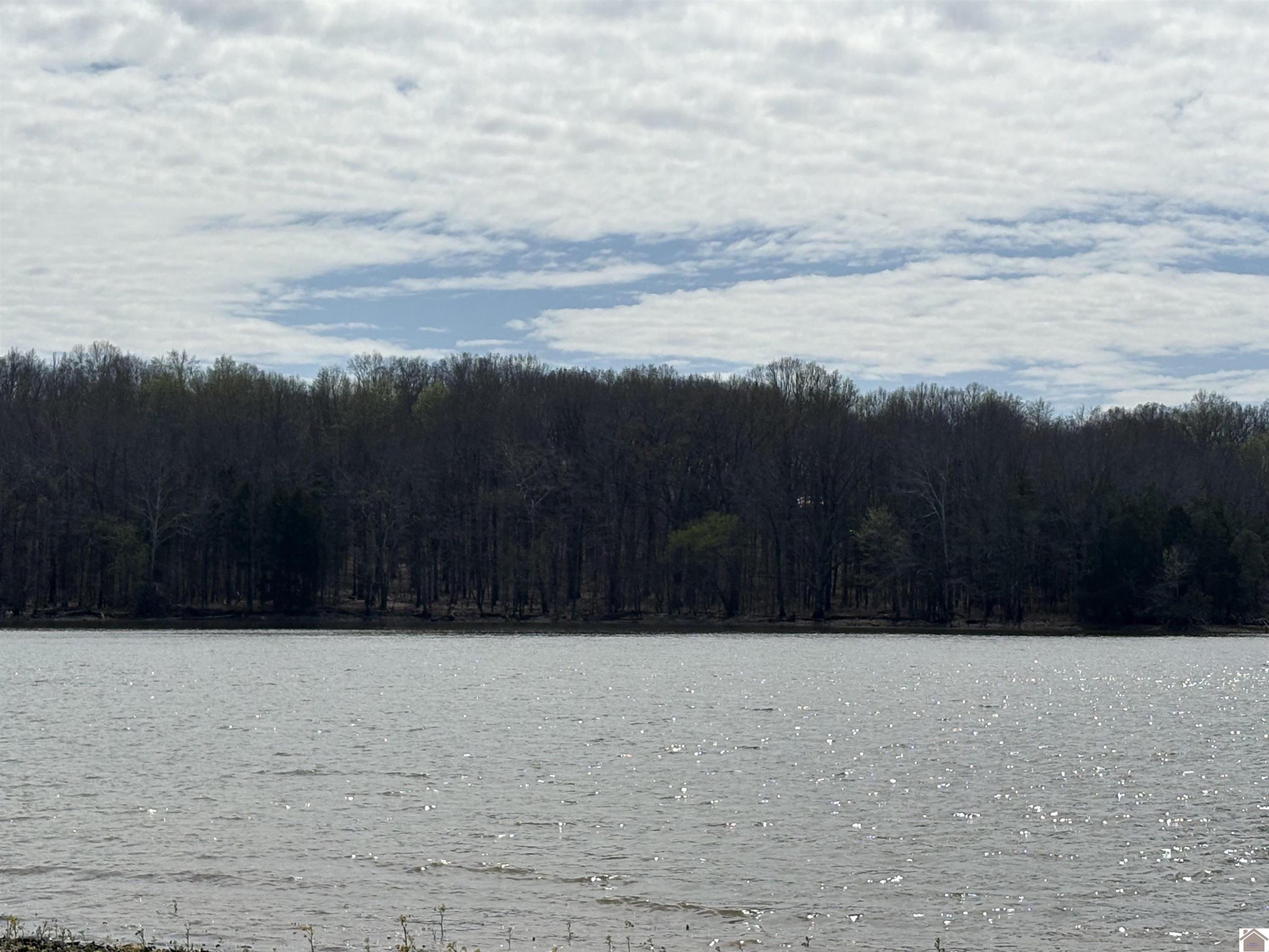 372 Rockcastle Lakeshore Dive