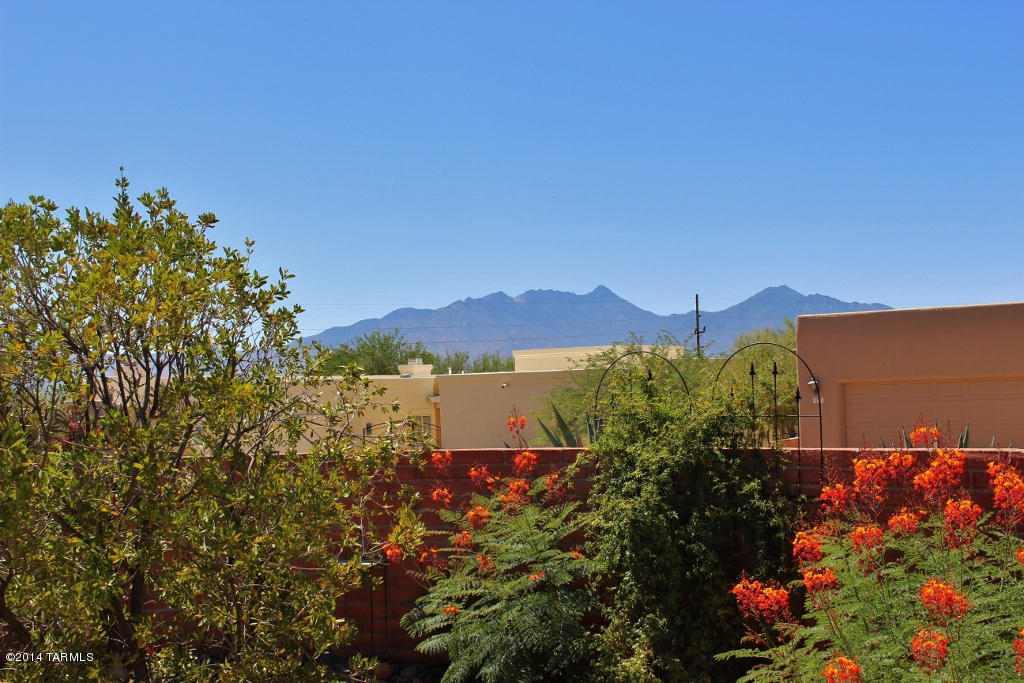 901 W Paseo Del Cilantro