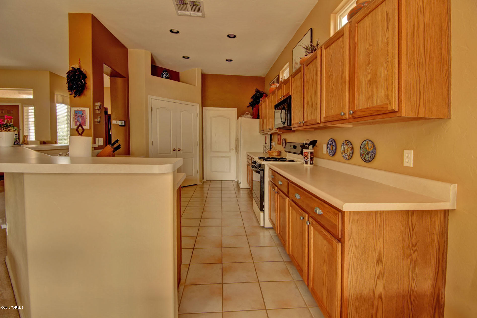 336 W Sunrise Vista Drive