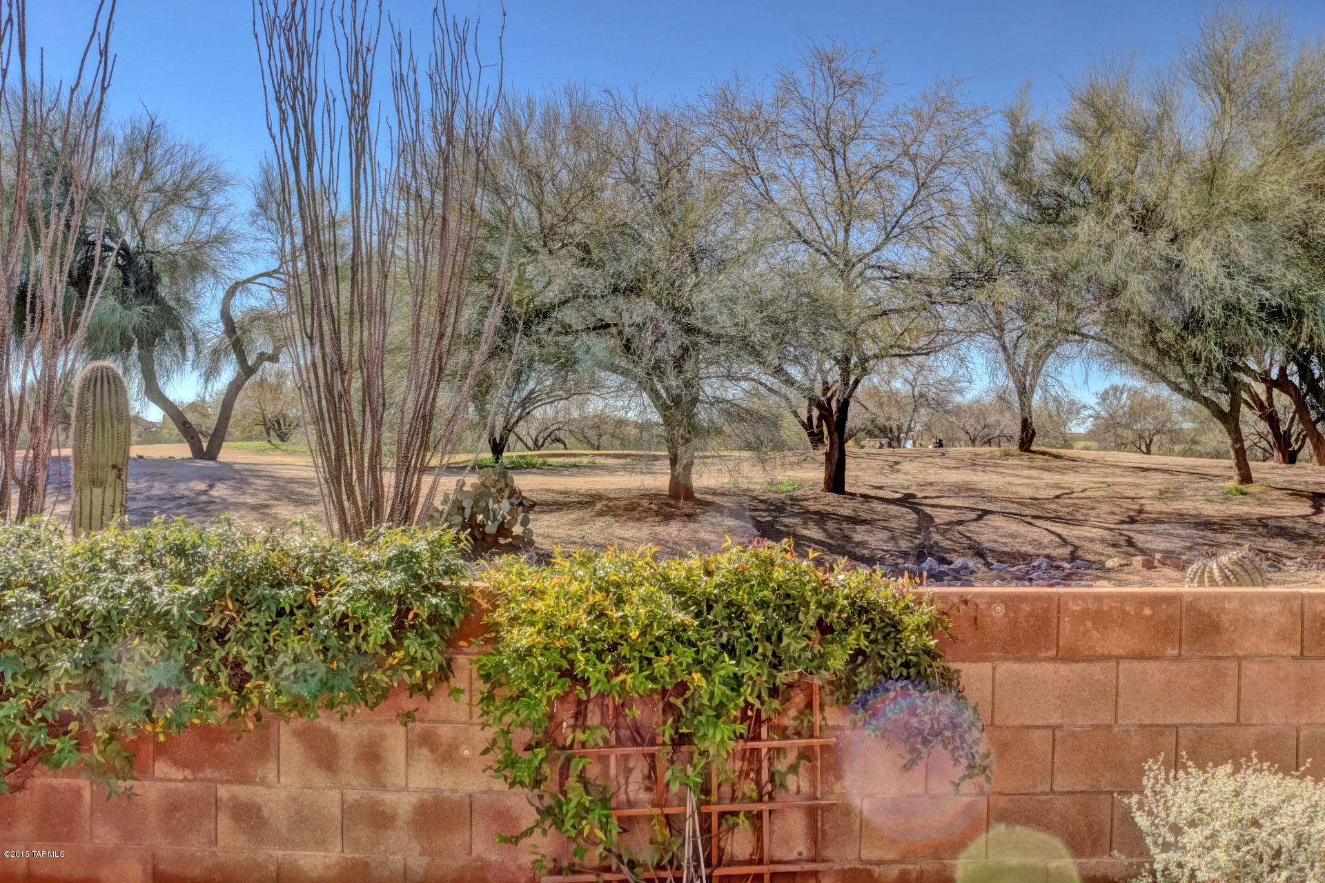 336 W Sunrise Vista Drive