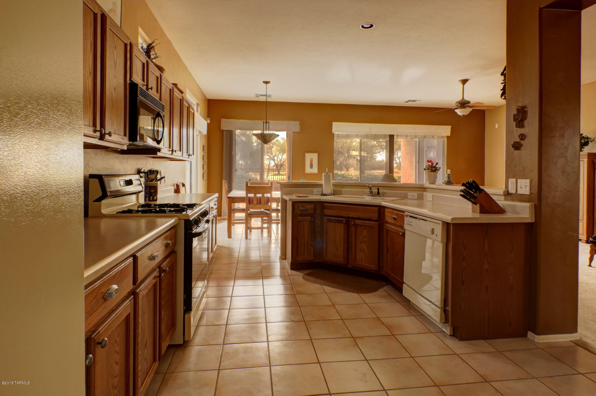 336 W Sunrise Vista Drive