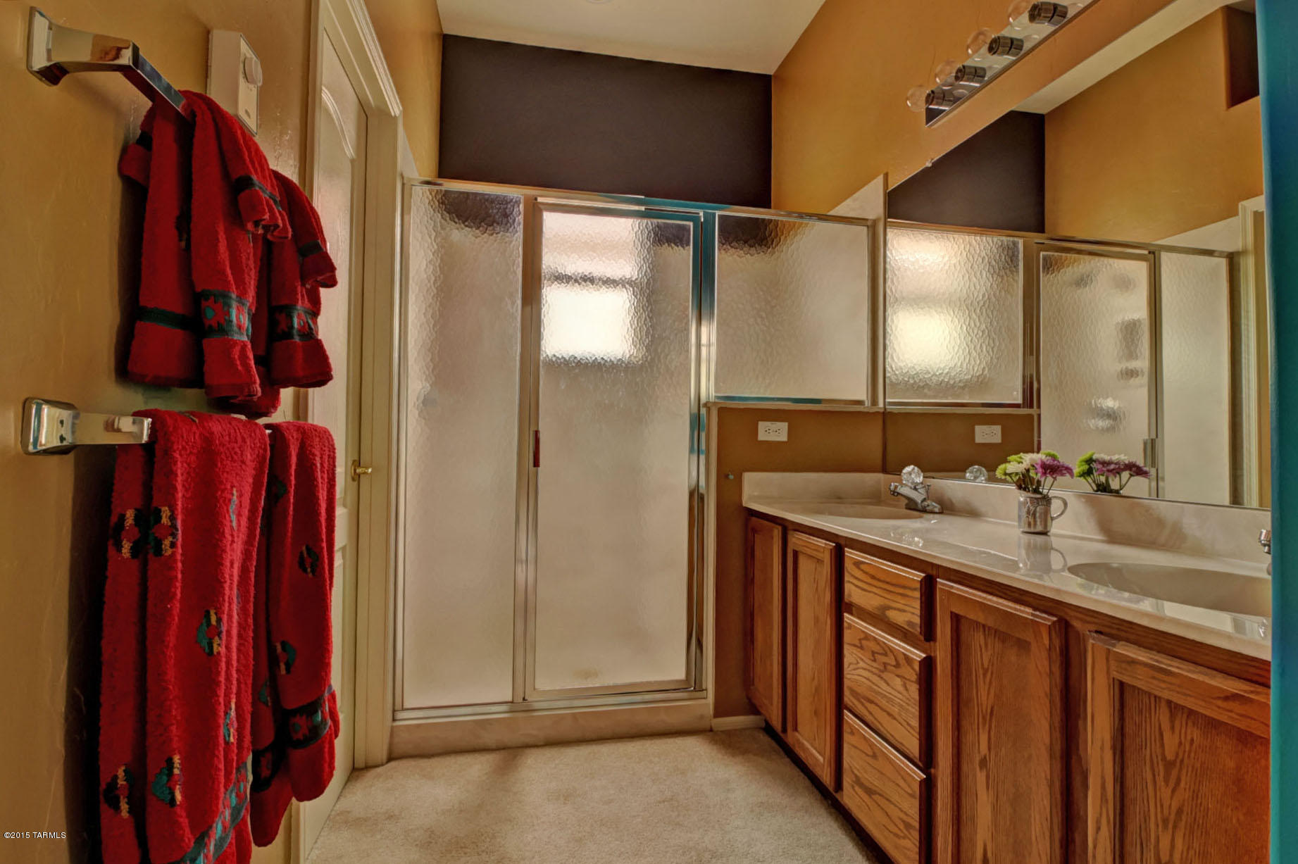 336 W Sunrise Vista Drive