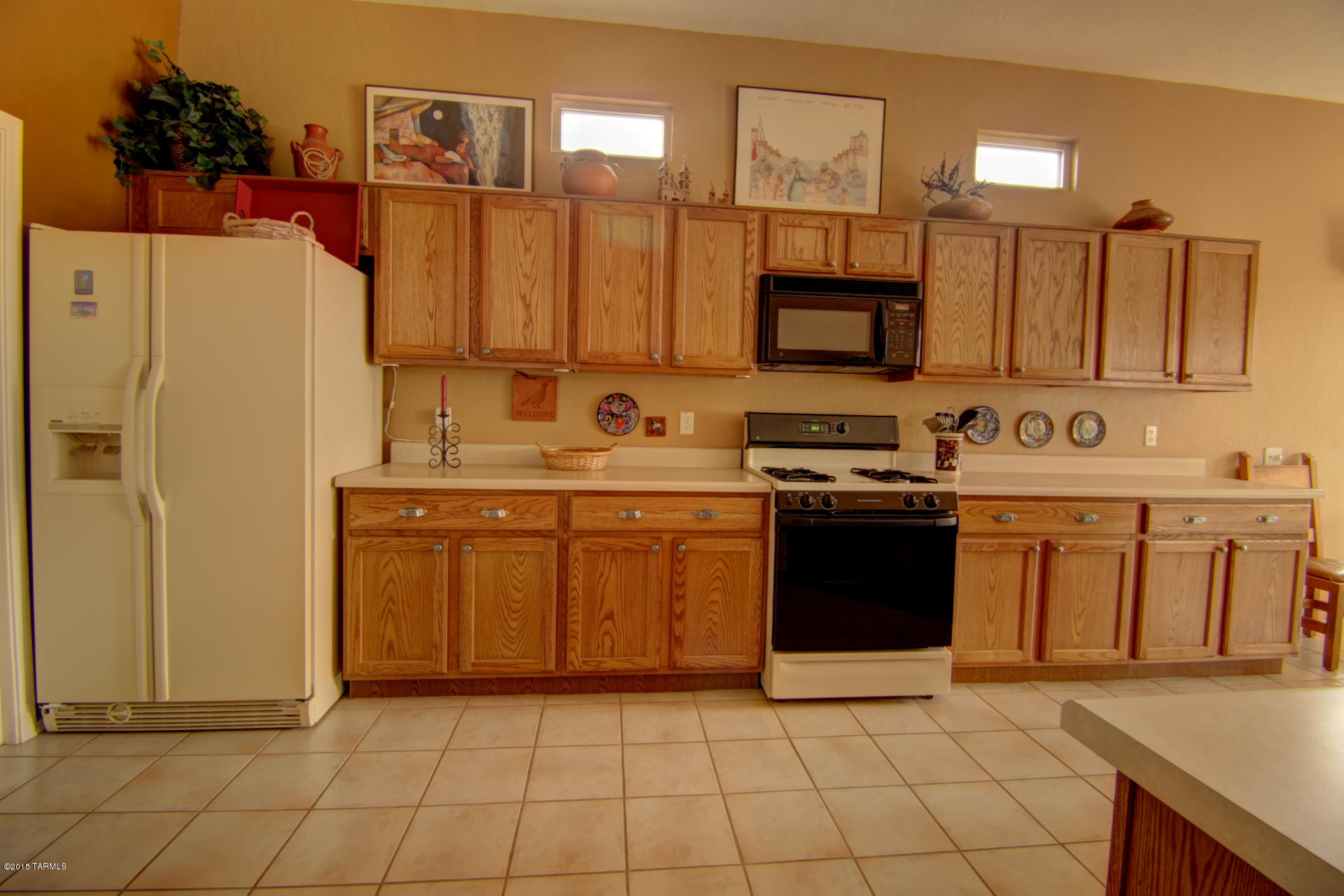 336 W Sunrise Vista Drive