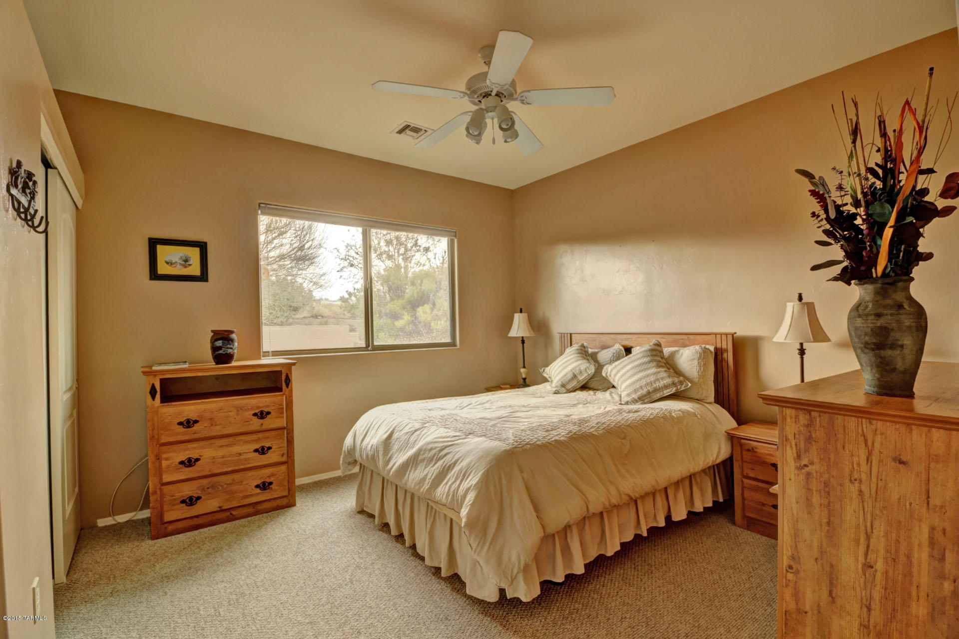 3724 S Paseo De Los Nardos