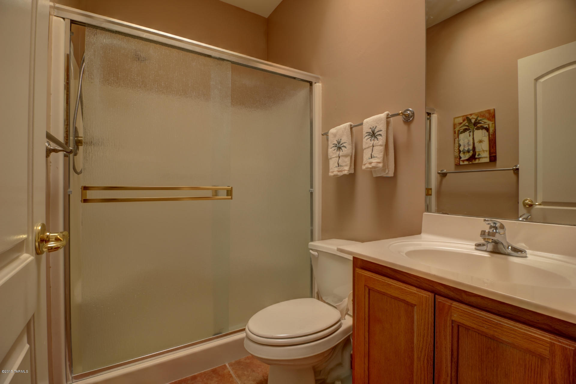 3724 S Paseo De Los Nardos