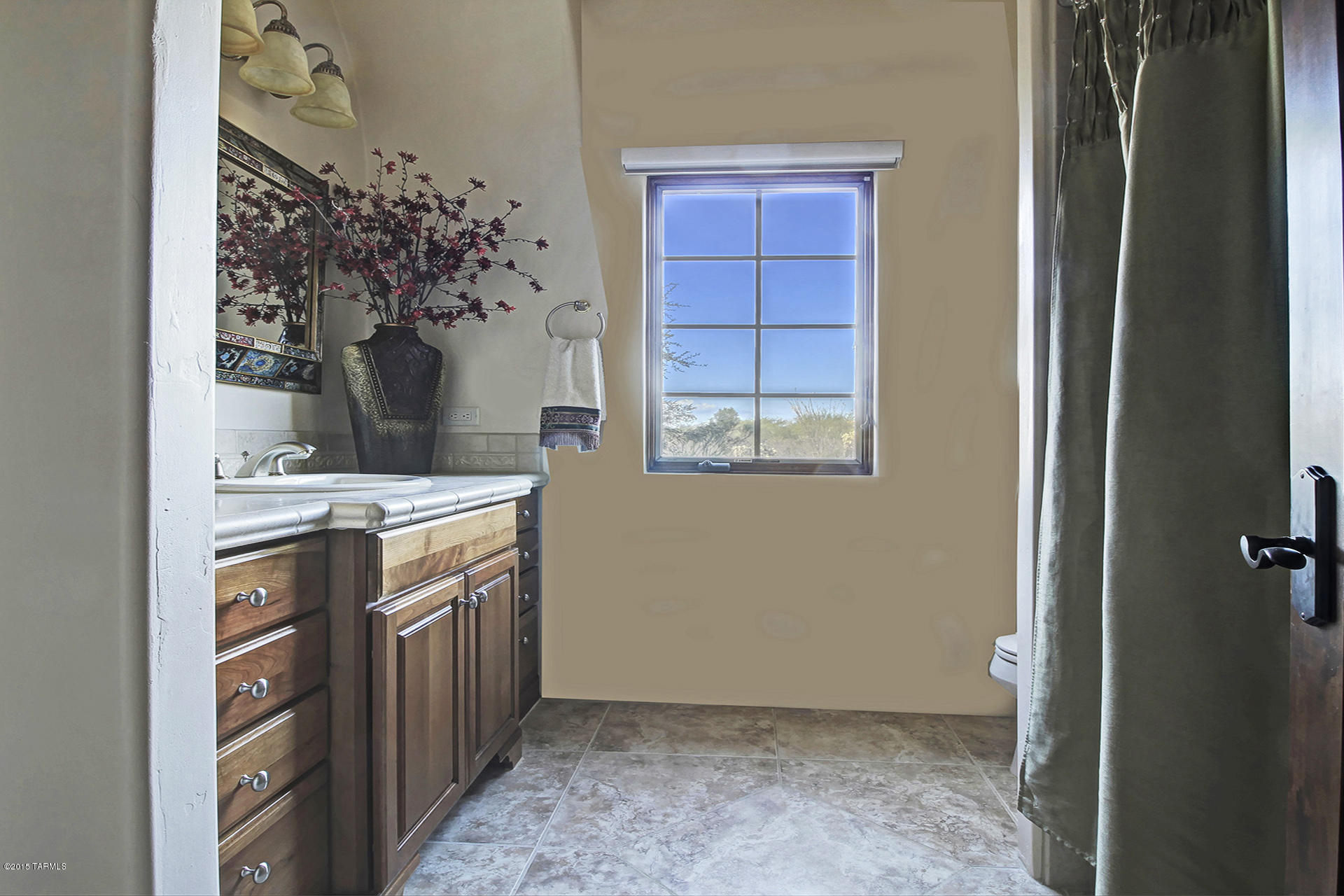 520 E Corte Pasadera Verde