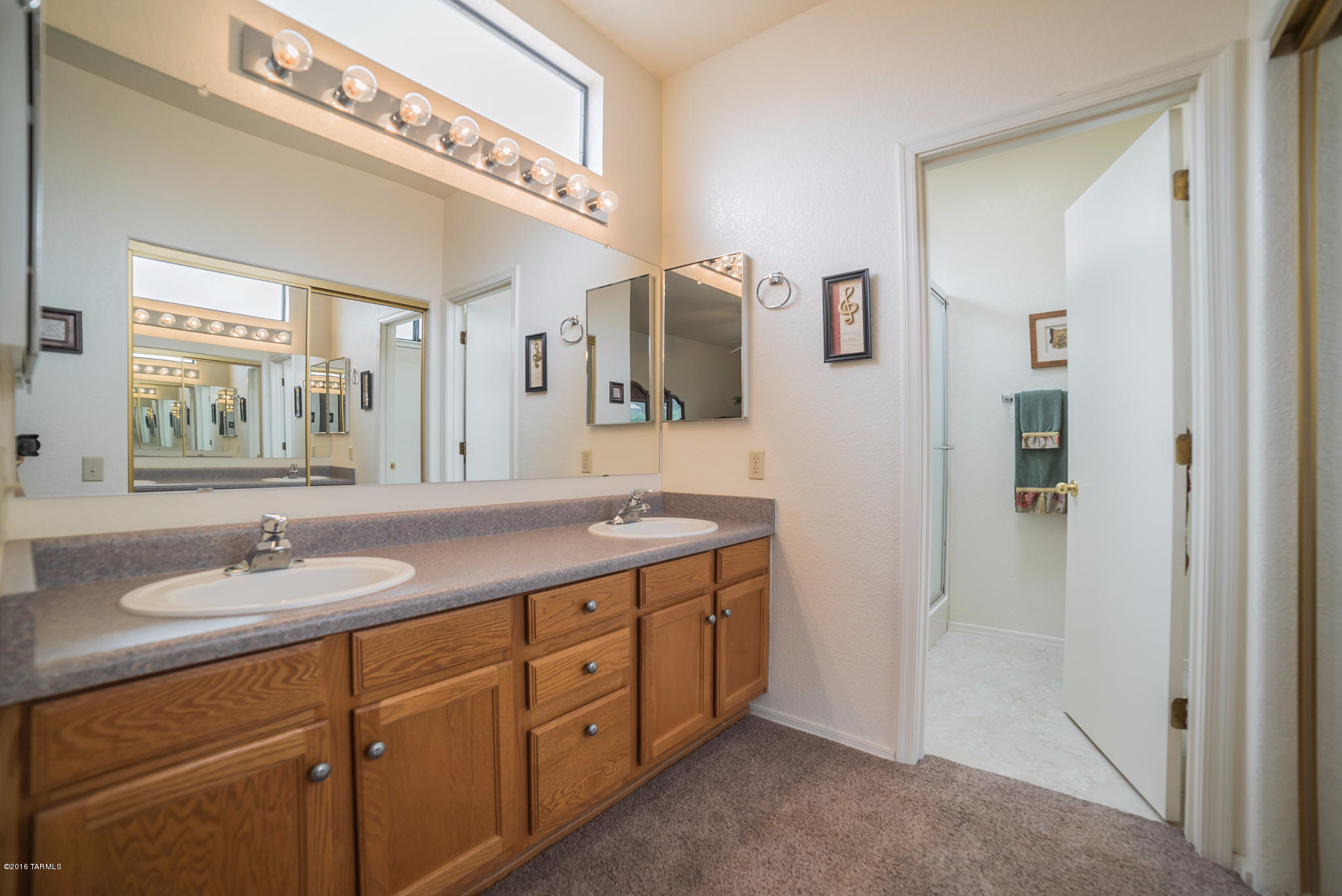 257 N Cobalt Drive