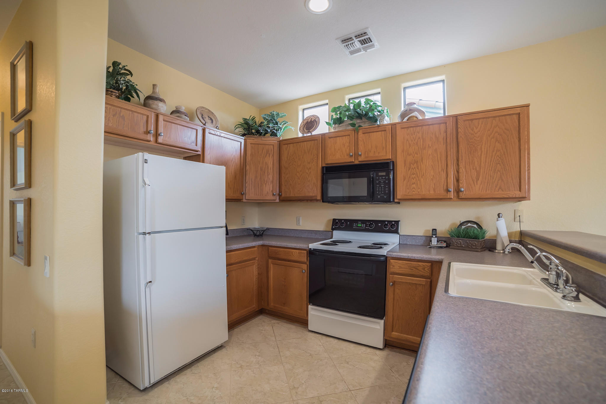 257 N Cobalt Drive
