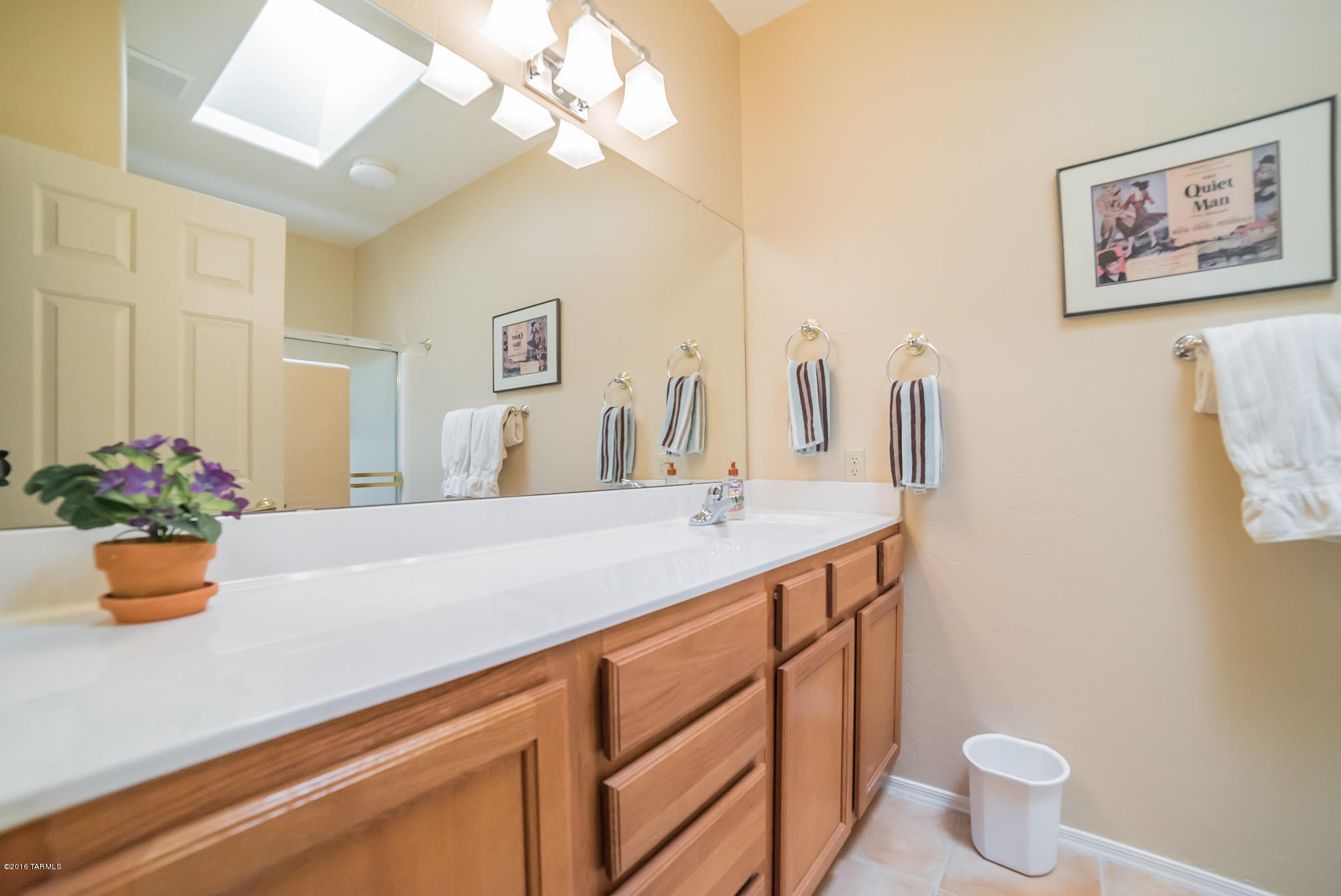 678 W Calle De La Pelotita