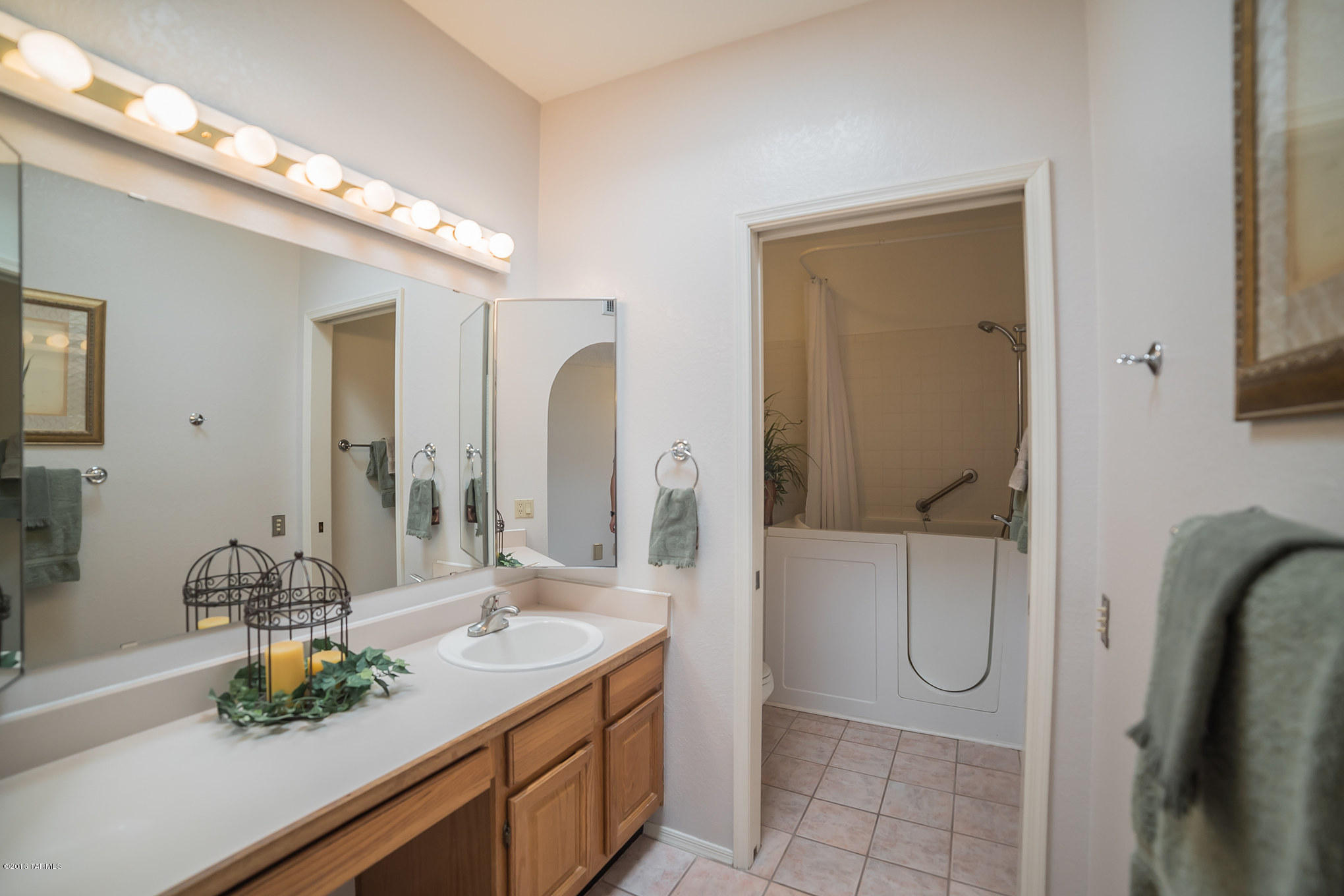 1445 W Camino Del Pato