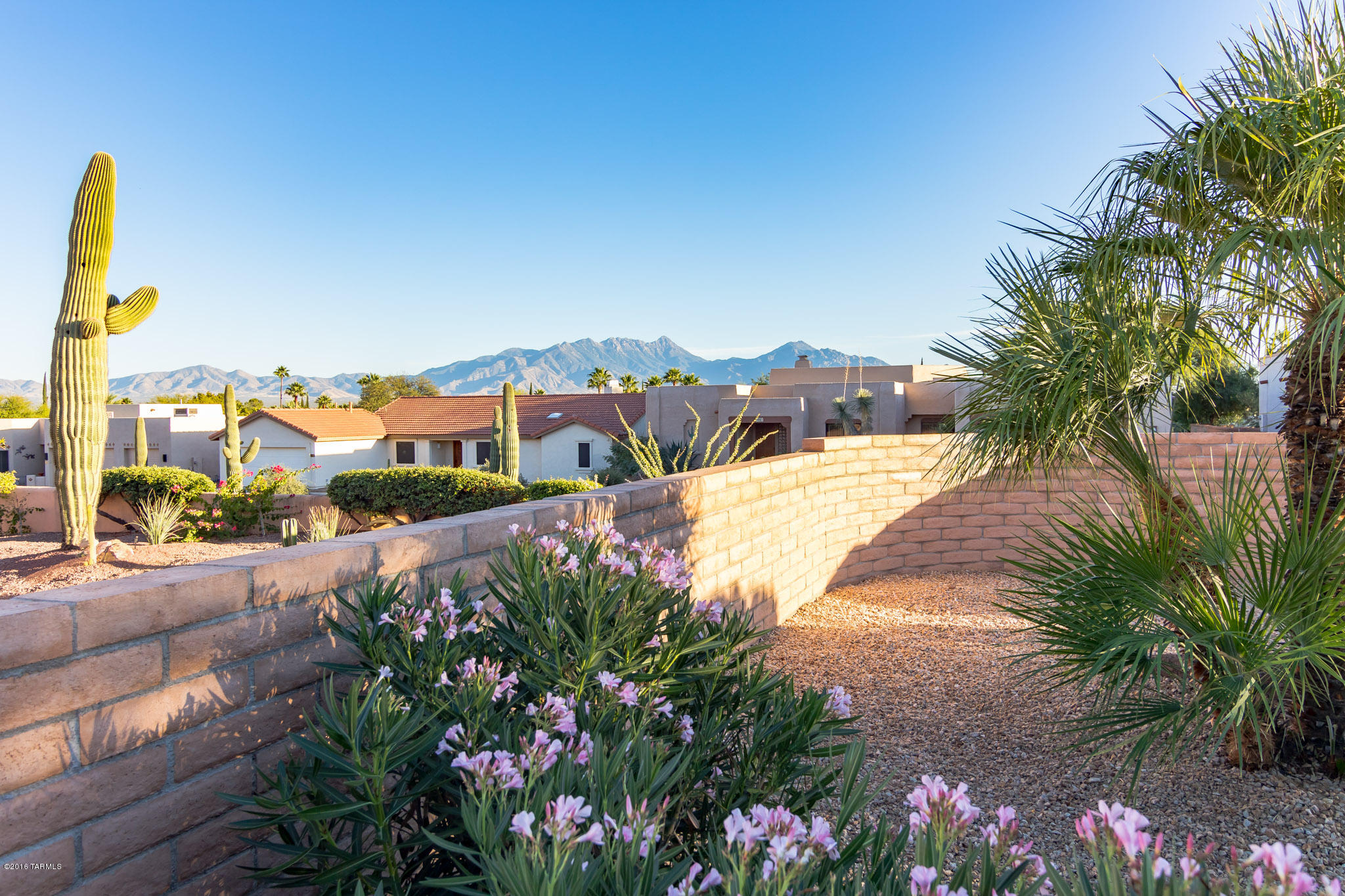 913 W Camino Tierra Libre