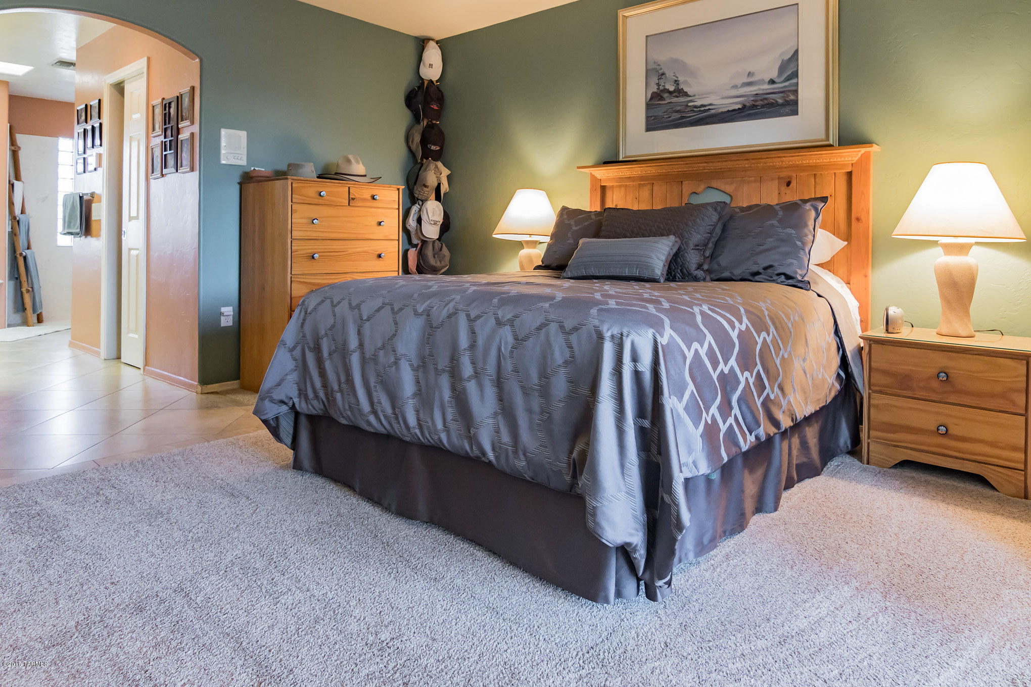 913 W Camino Tierra Libre