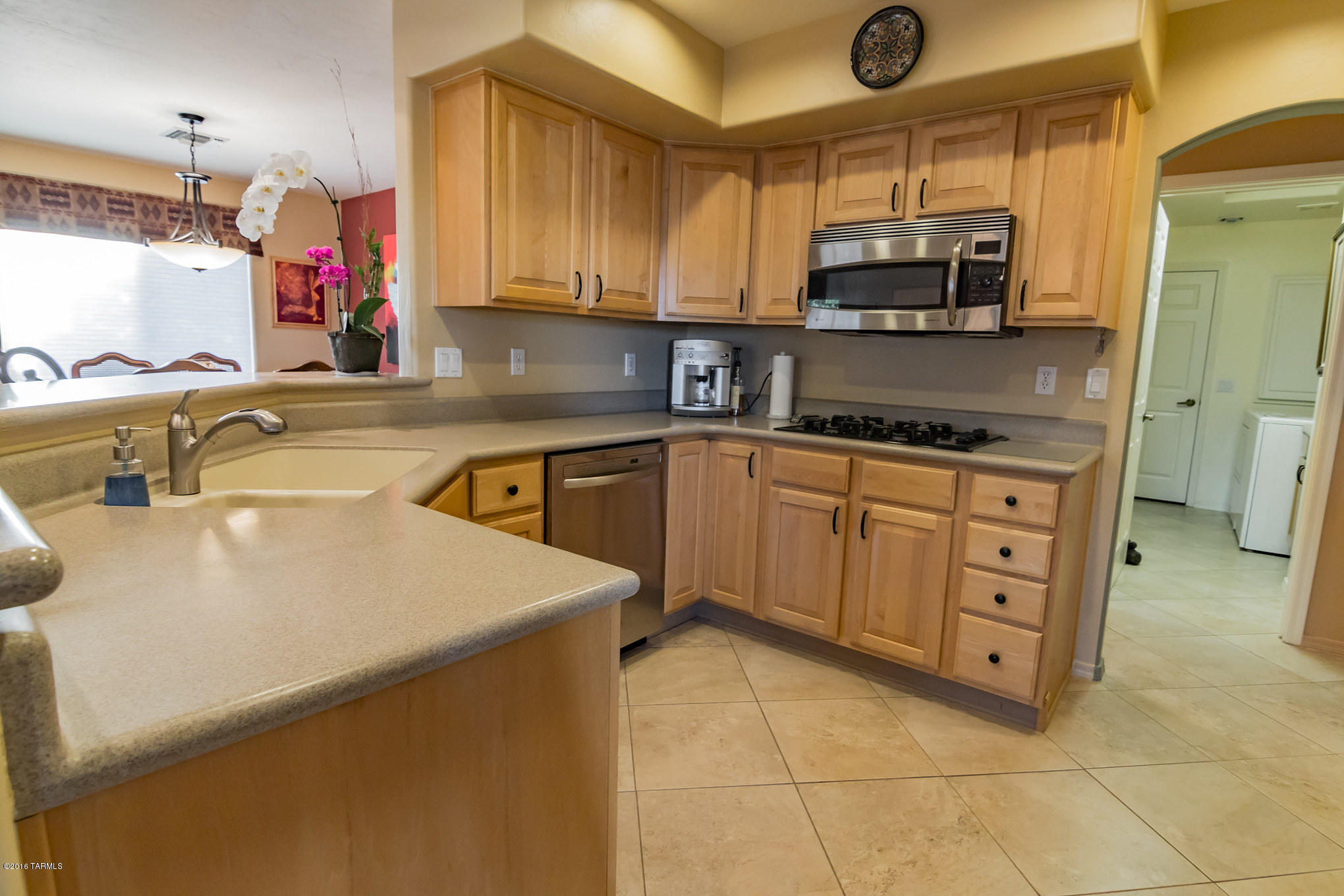 913 W Camino Tierra Libre