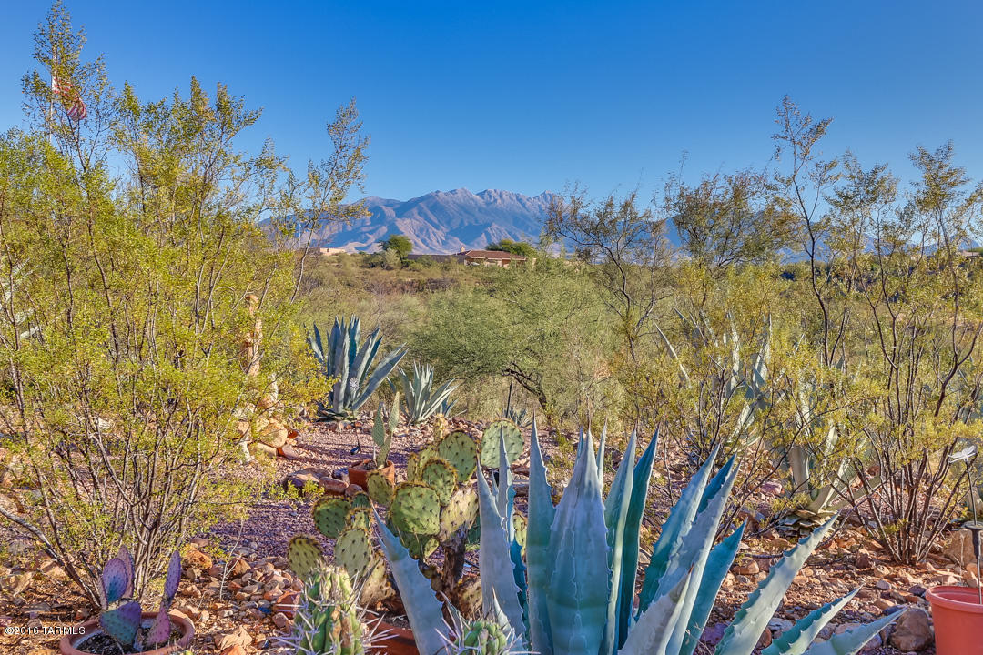 1575 S Walnut Spring Place