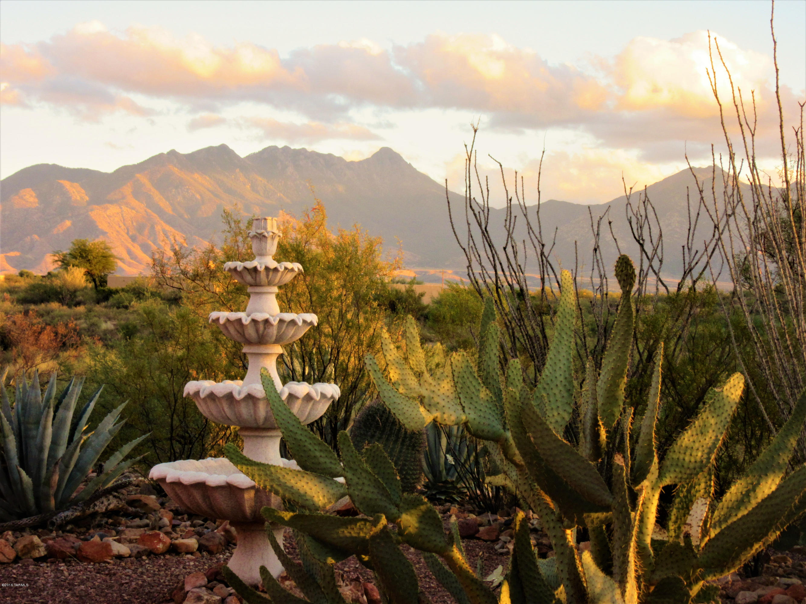 1575 S Walnut Spring Place