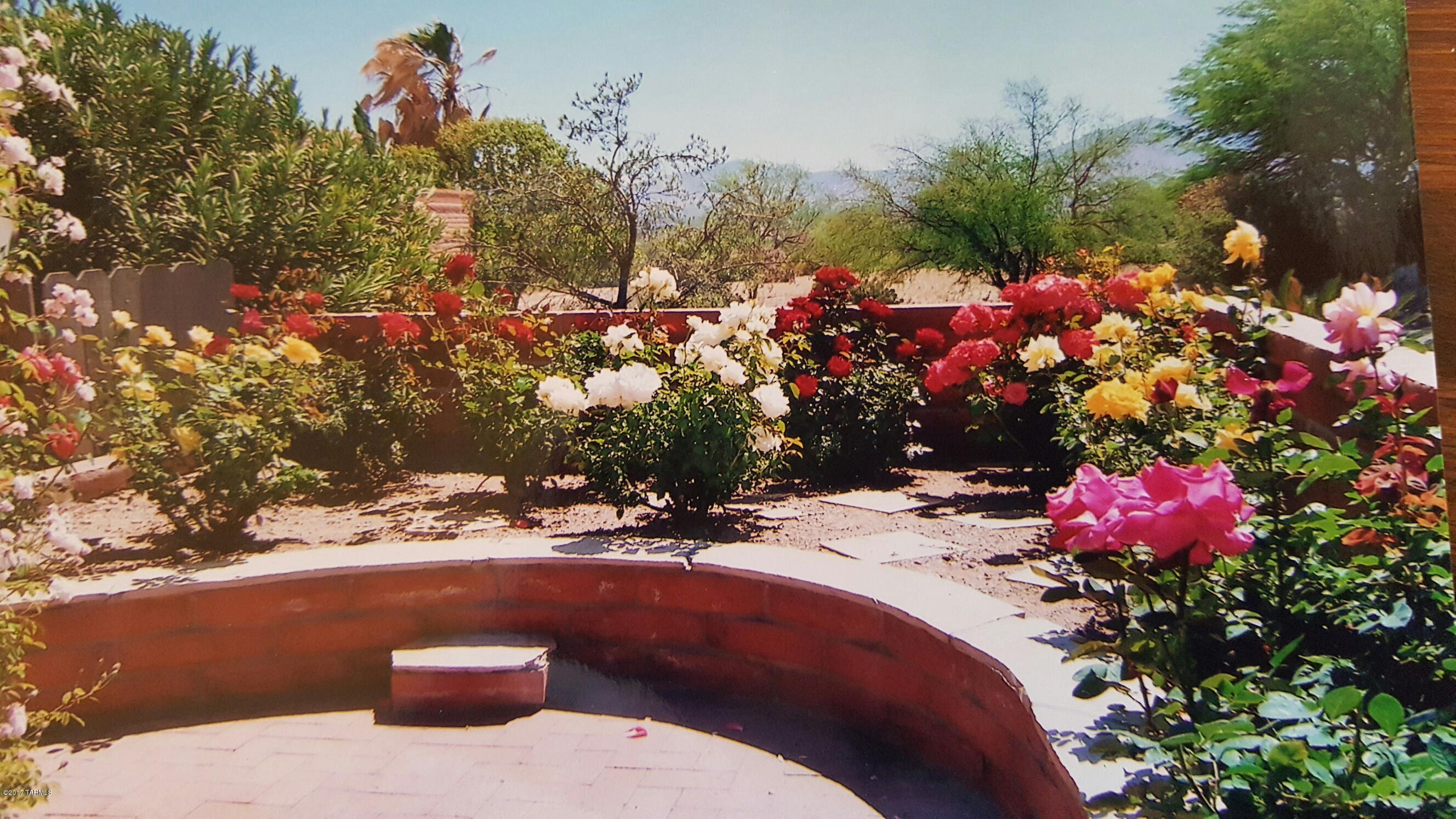 984 W Camino Urbano
