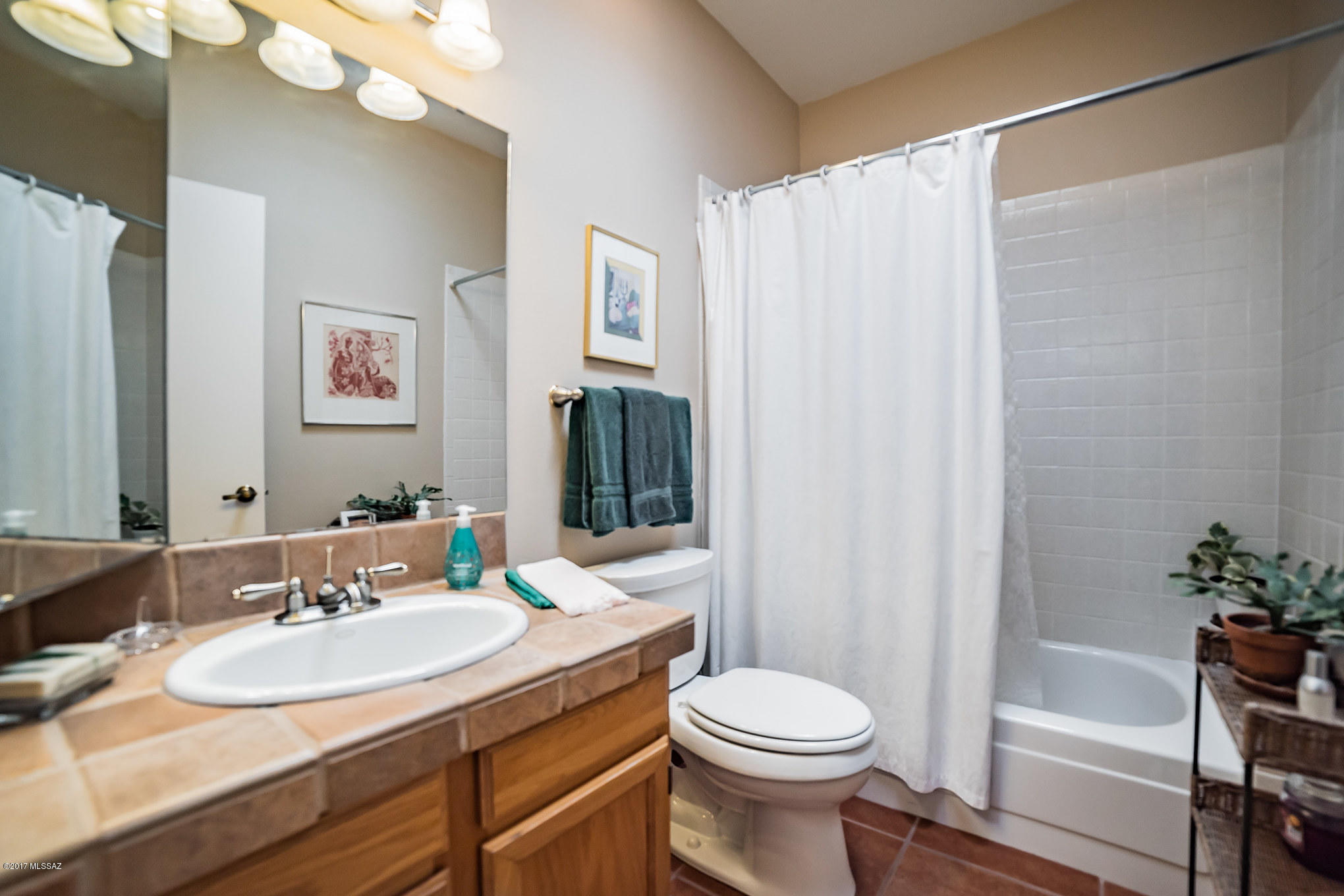 1019 W Calle De Pitahaya