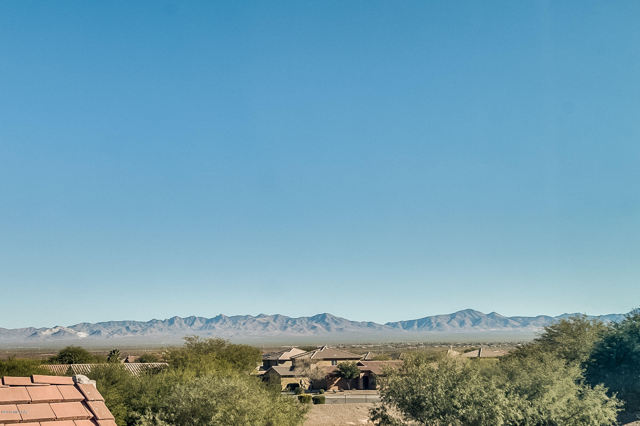 649 W Desert Blossom Drive