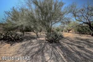 121 W Calle Escudilla Unit: Lot 368