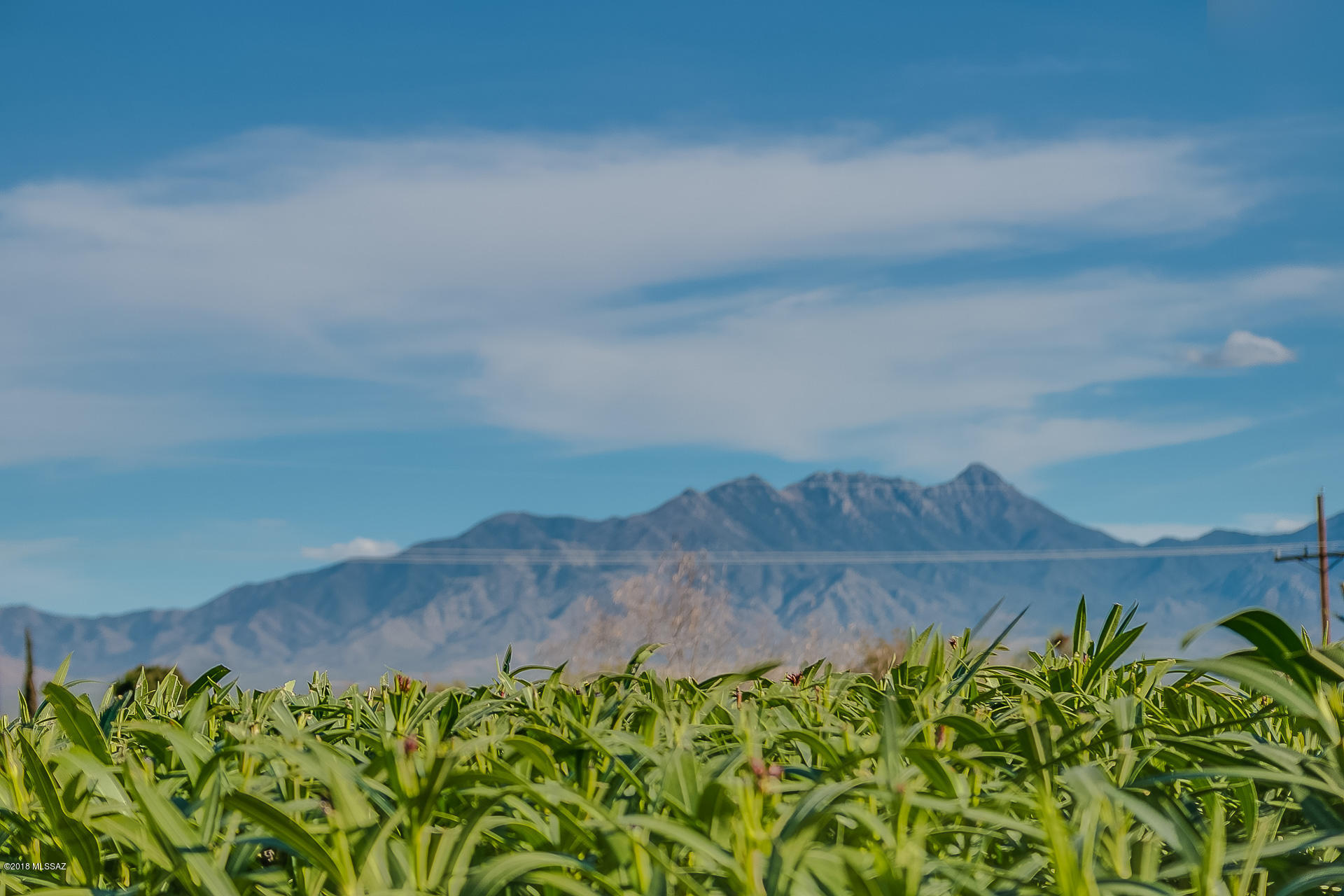 1300 N Rio Santa Cruz