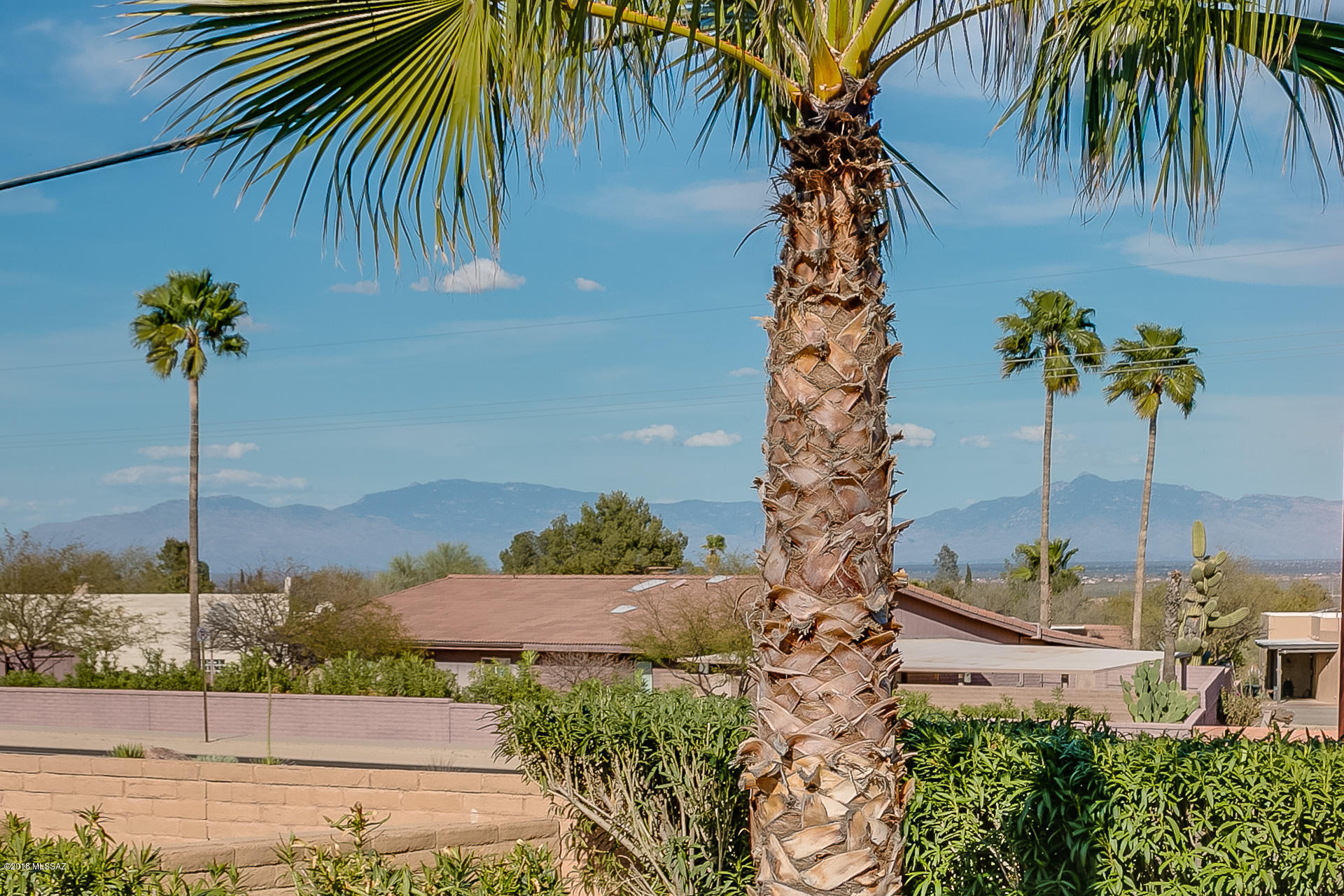 1300 N Rio Santa Cruz