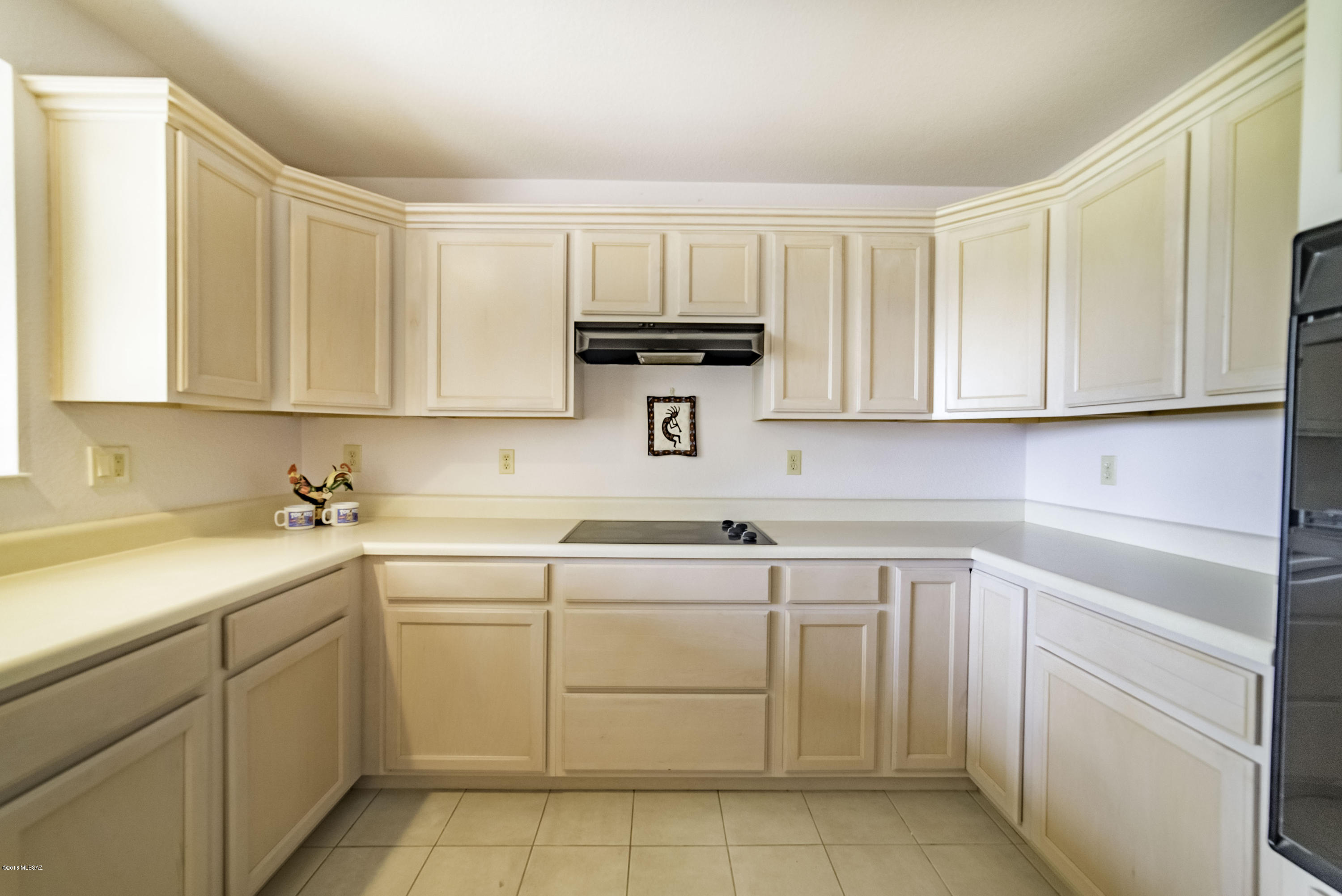 1241 N Paseo Del Cervato