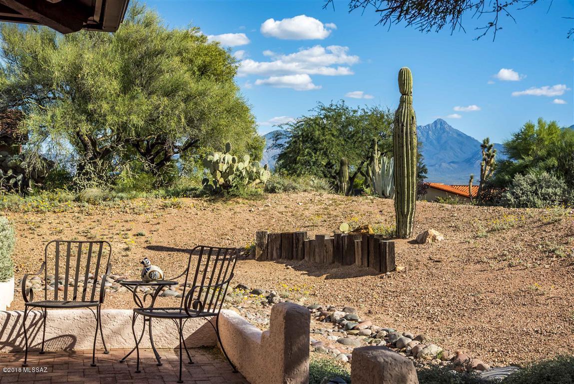 1290 W Placita De La Cotonia