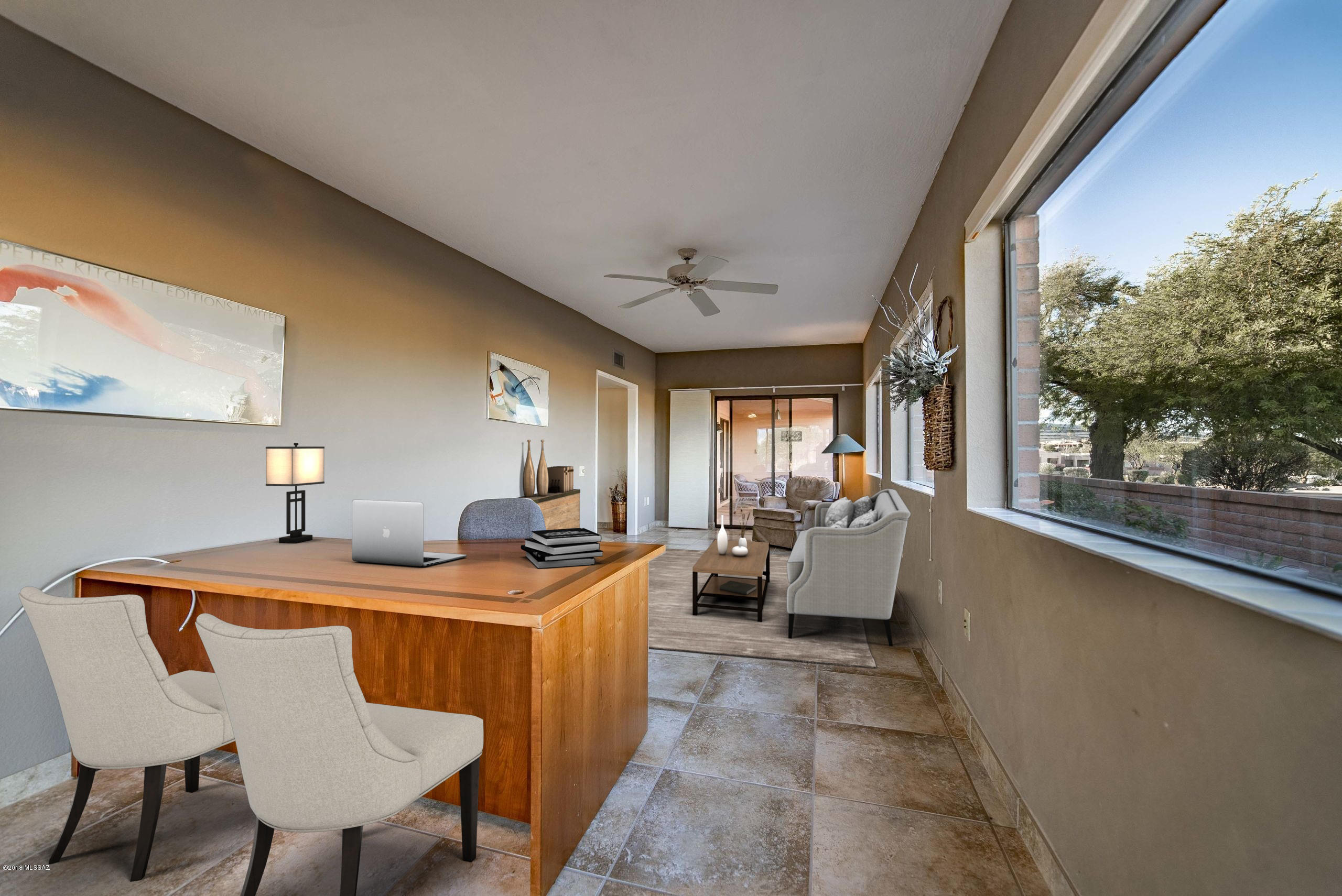 3841 S Placita De La Moneda