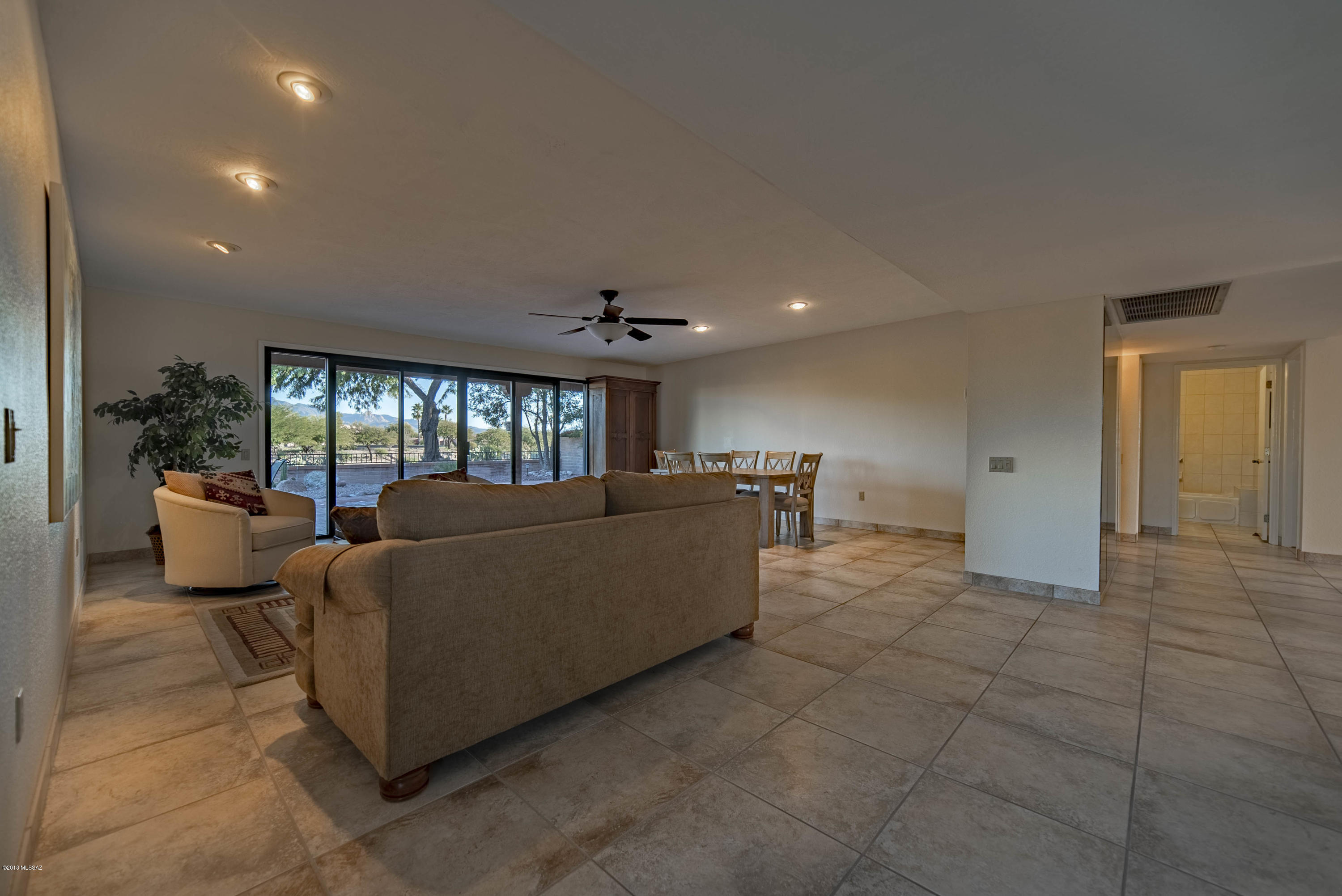 3841 S Placita De La Moneda