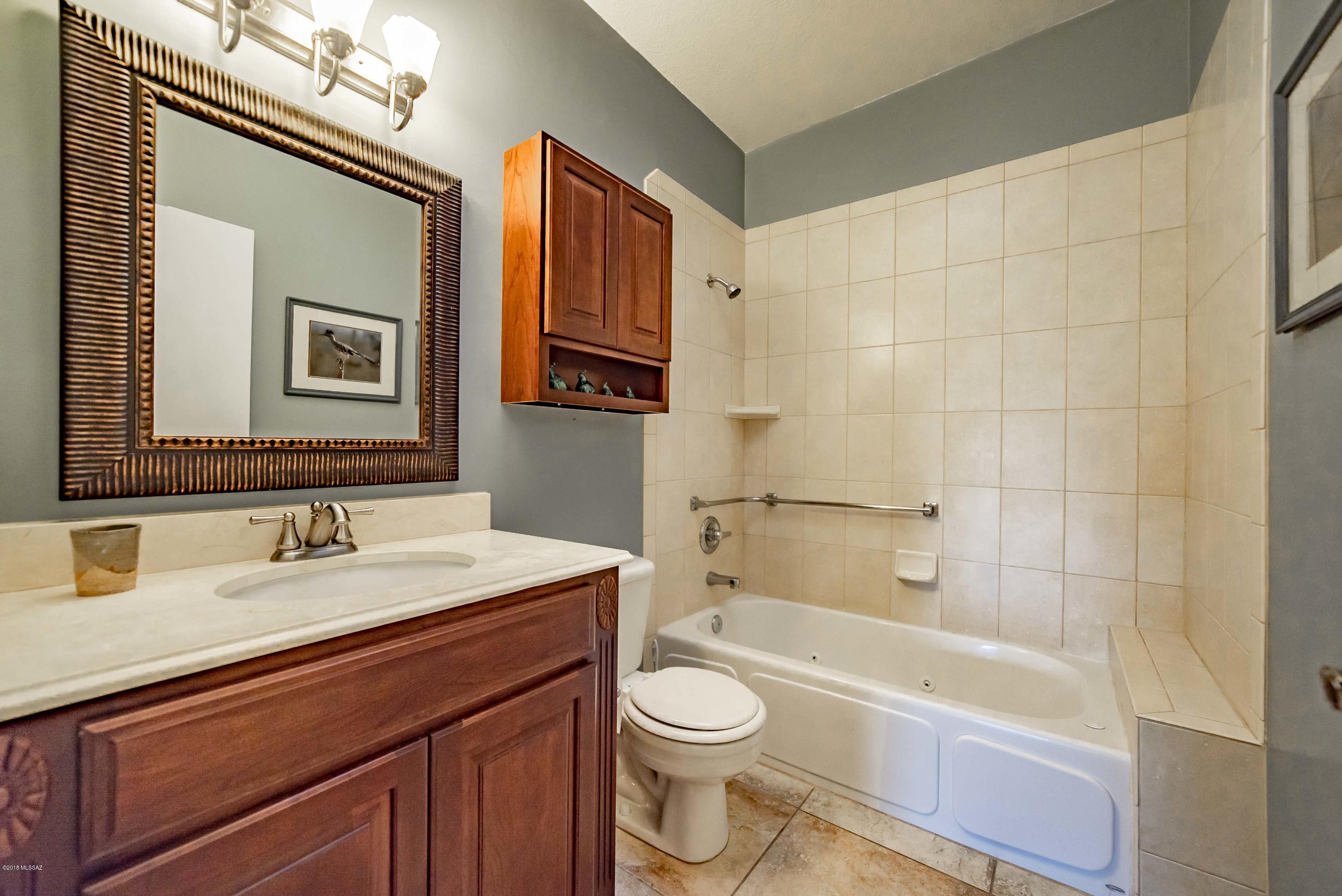 3841 S Placita De La Moneda