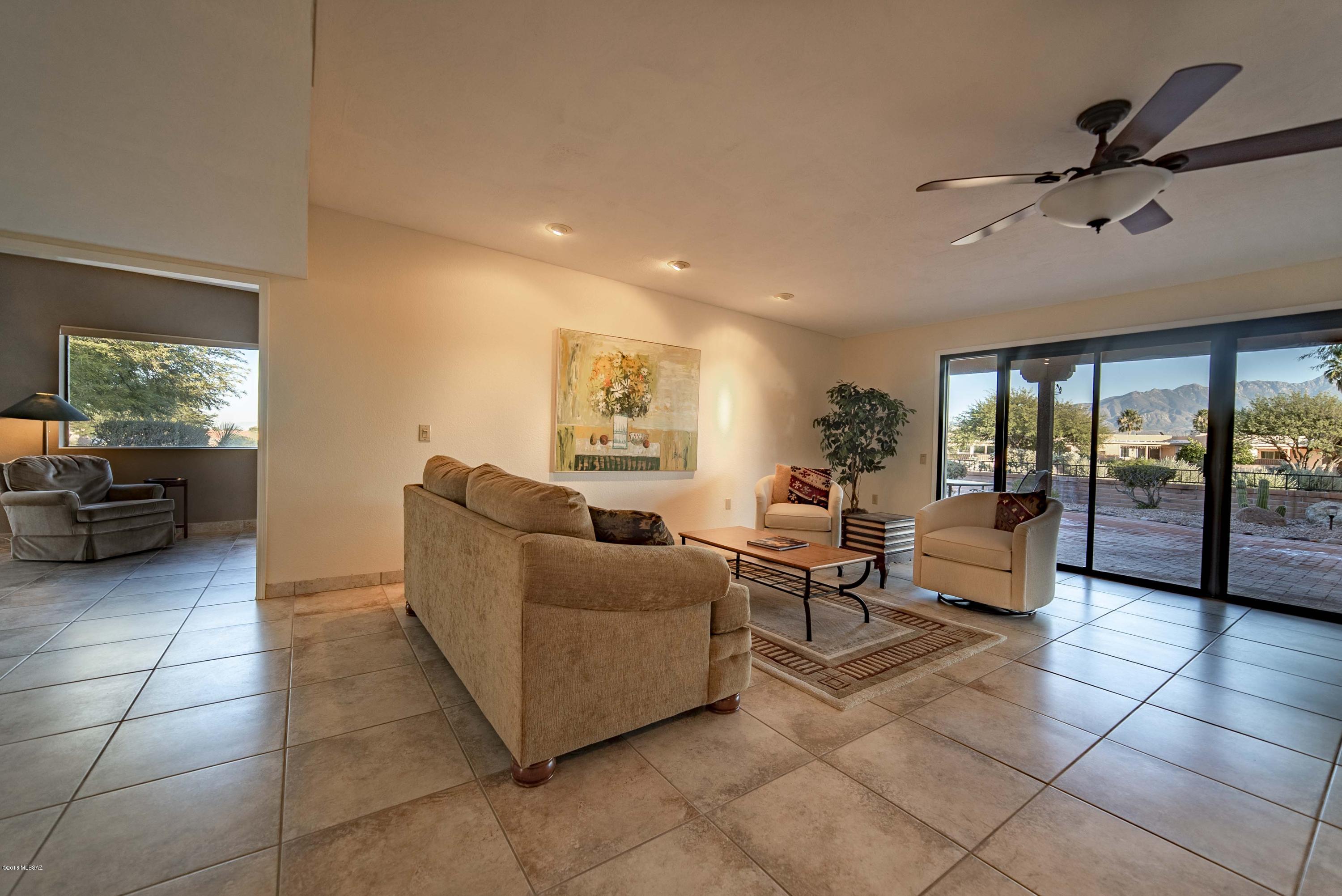 3841 S Placita De La Moneda