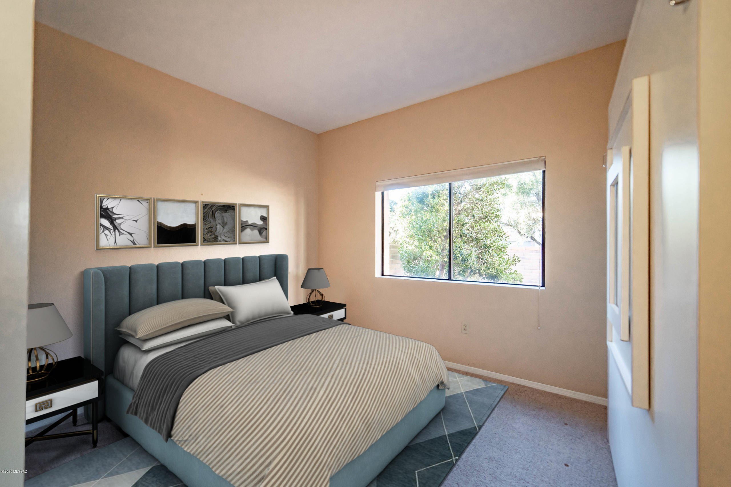 3841 S Placita De La Moneda