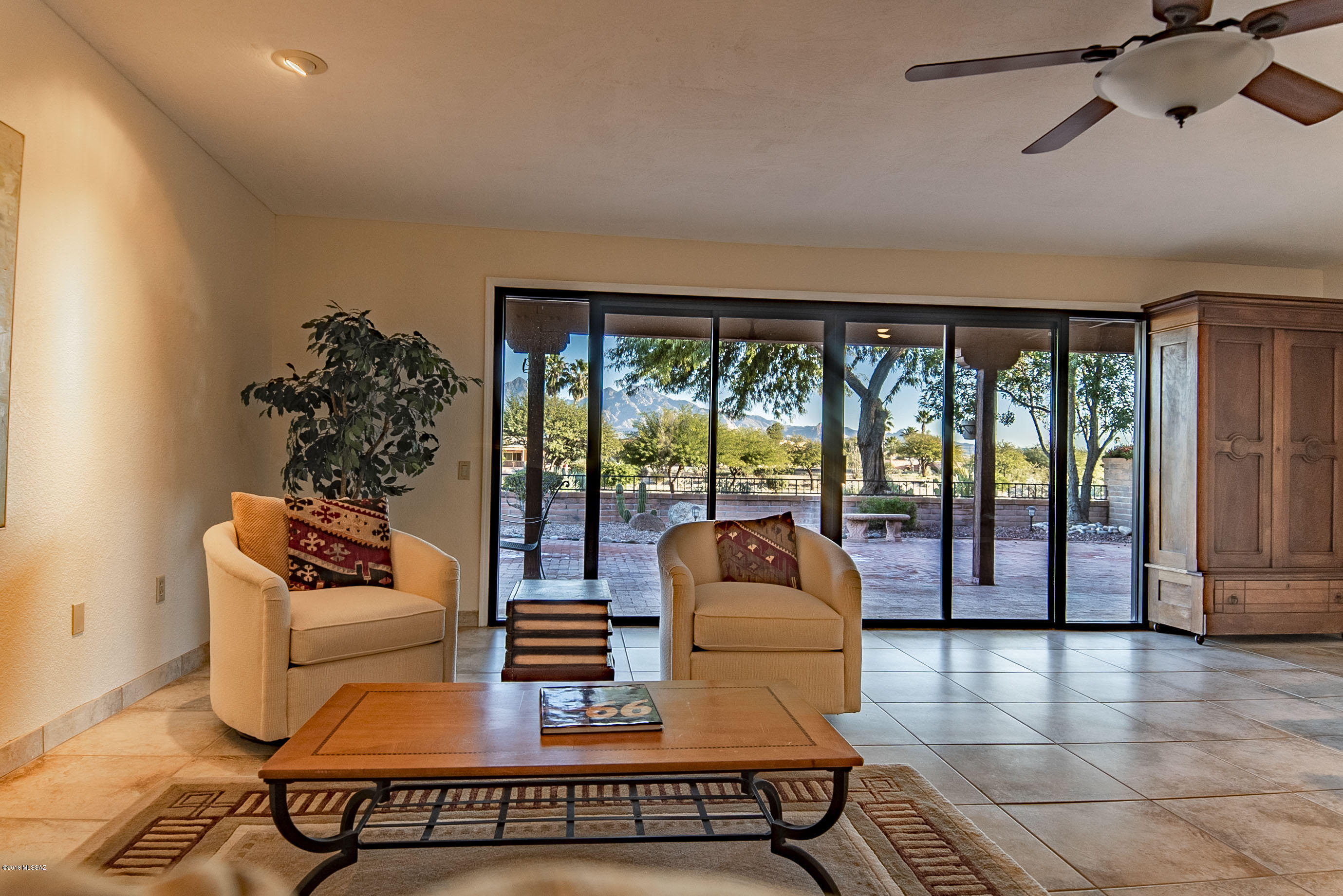 3841 S Placita De La Moneda