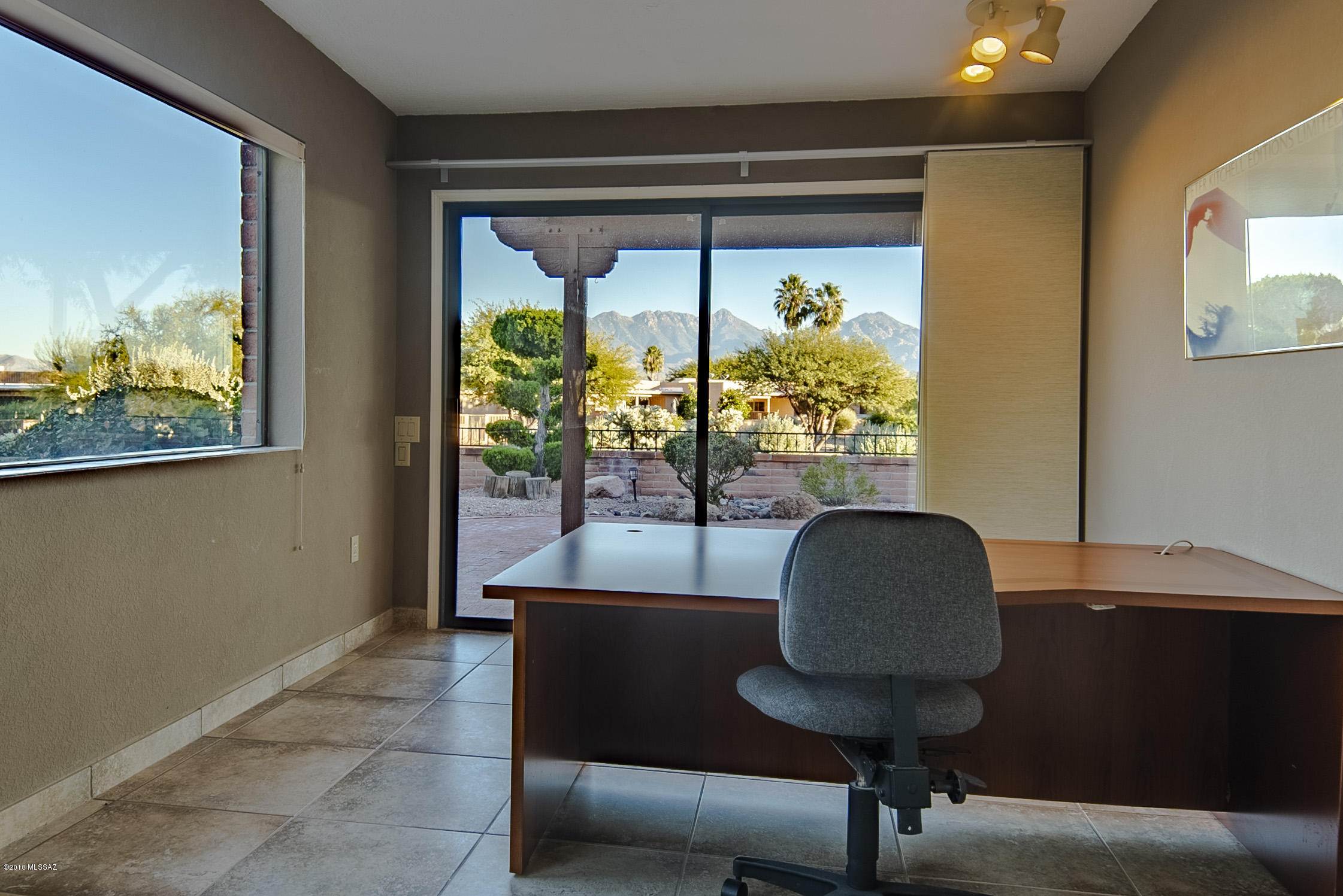 3841 S Placita De La Moneda